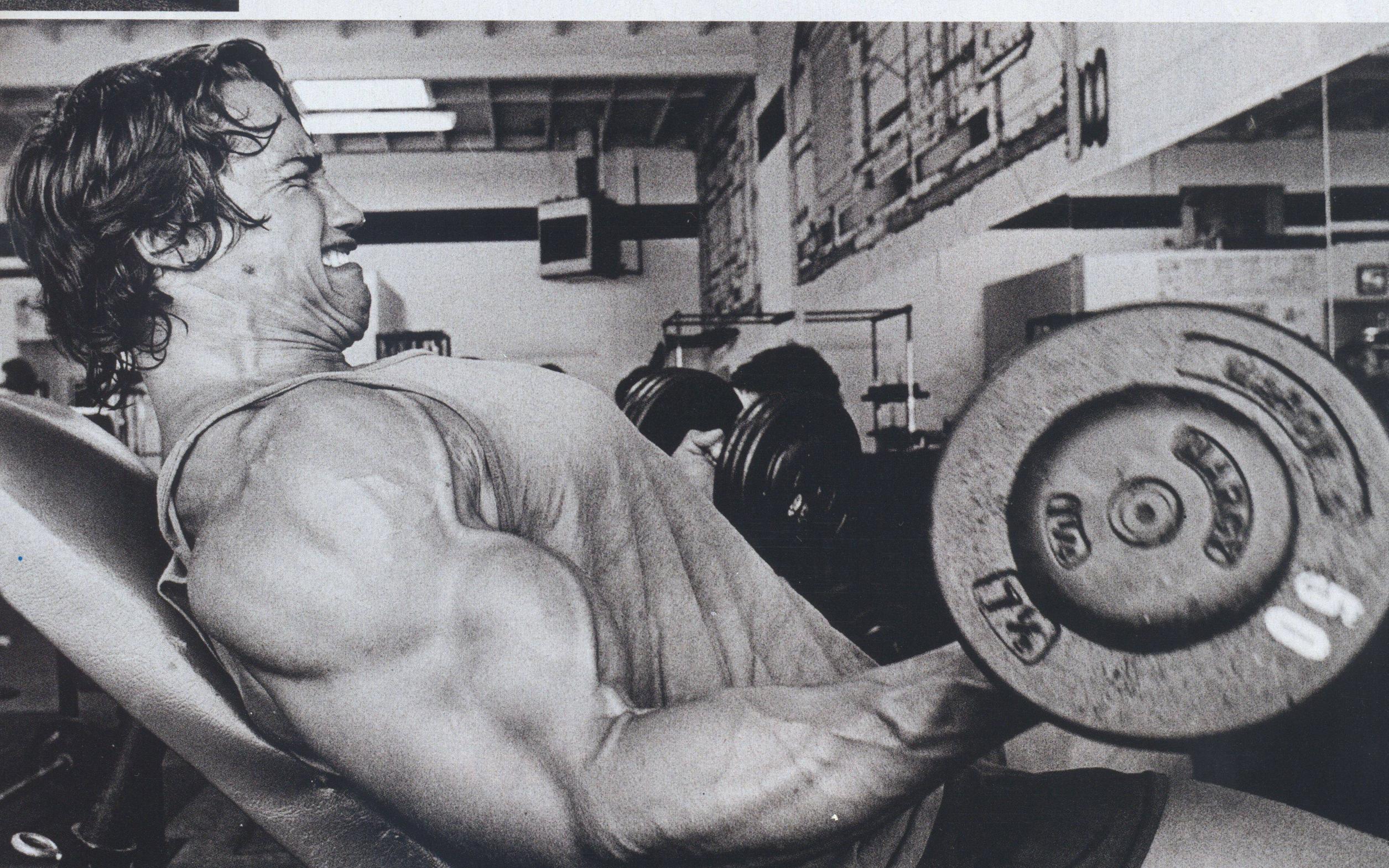 2511x1570 Weightlifting Wallpaper