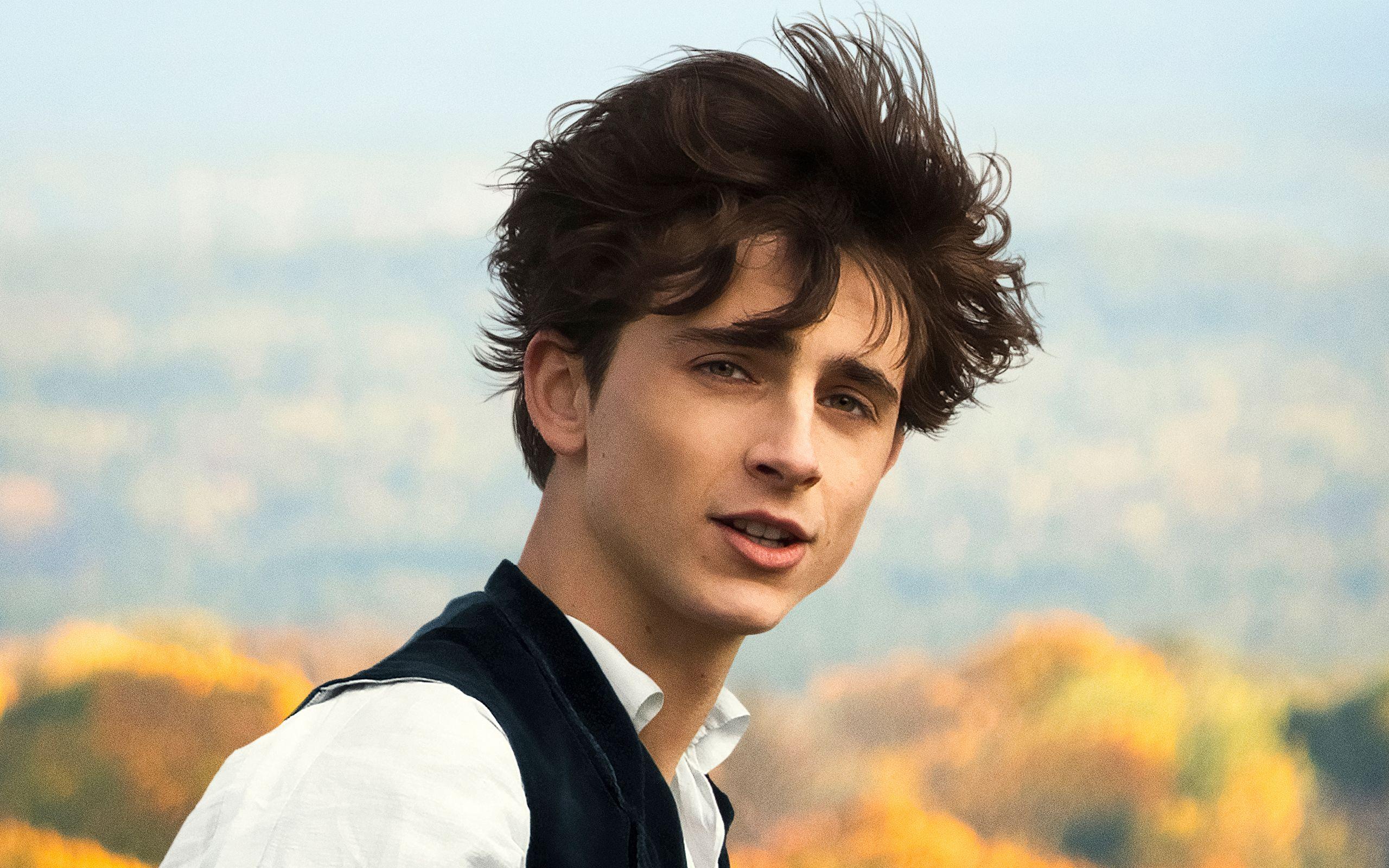 2560x1600 Timothee Chalamet In Little Women 2560x1600 Resolution
