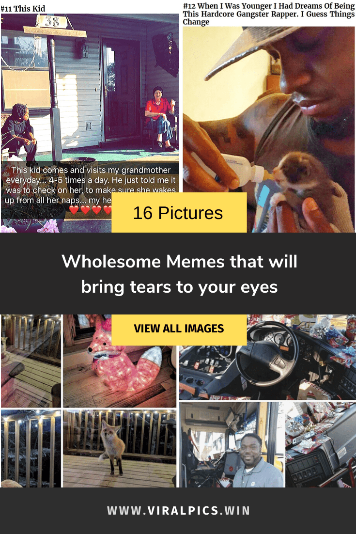 735x1102 Wholesome Memes that will bring tears to your eyes
