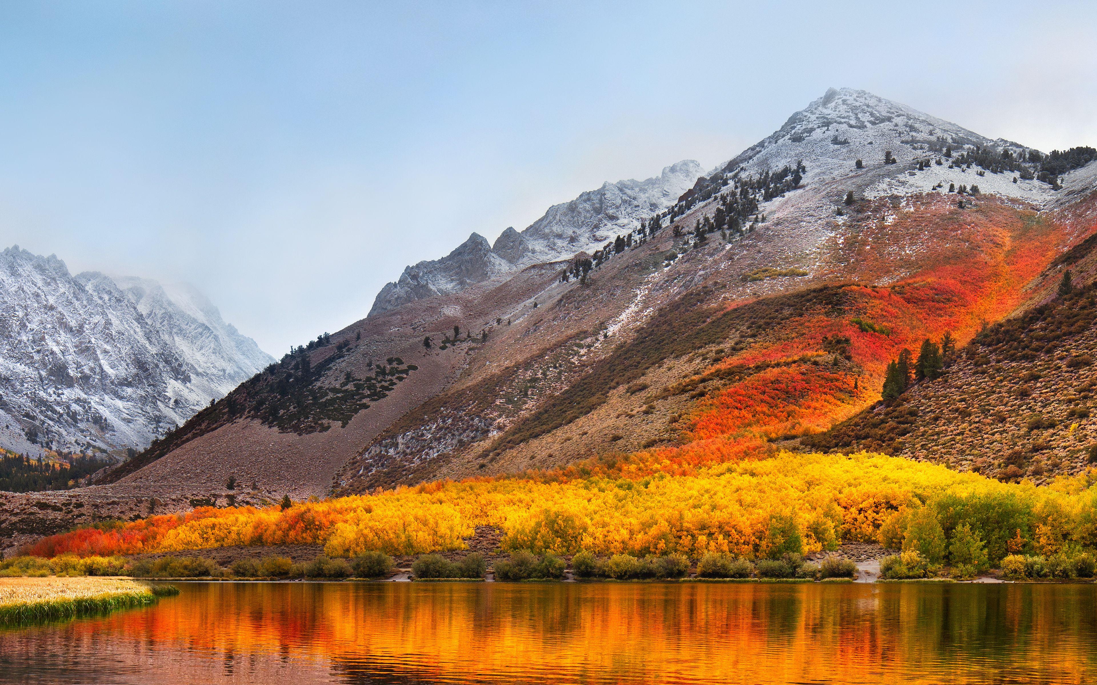 macos high sierra wallpaper