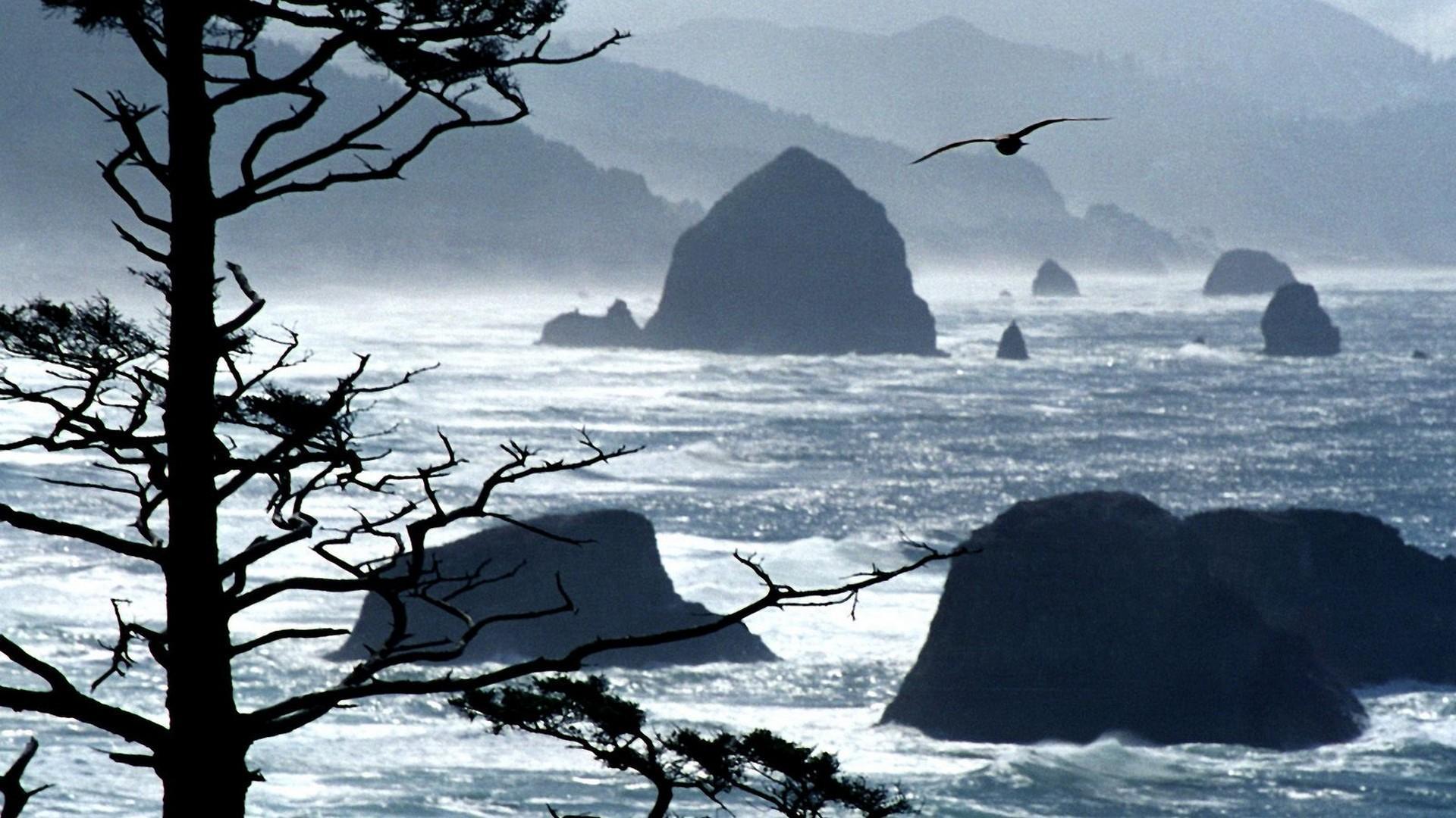 Oregon Coast Wallpapers - Top Free Oregon Coast Backgrounds