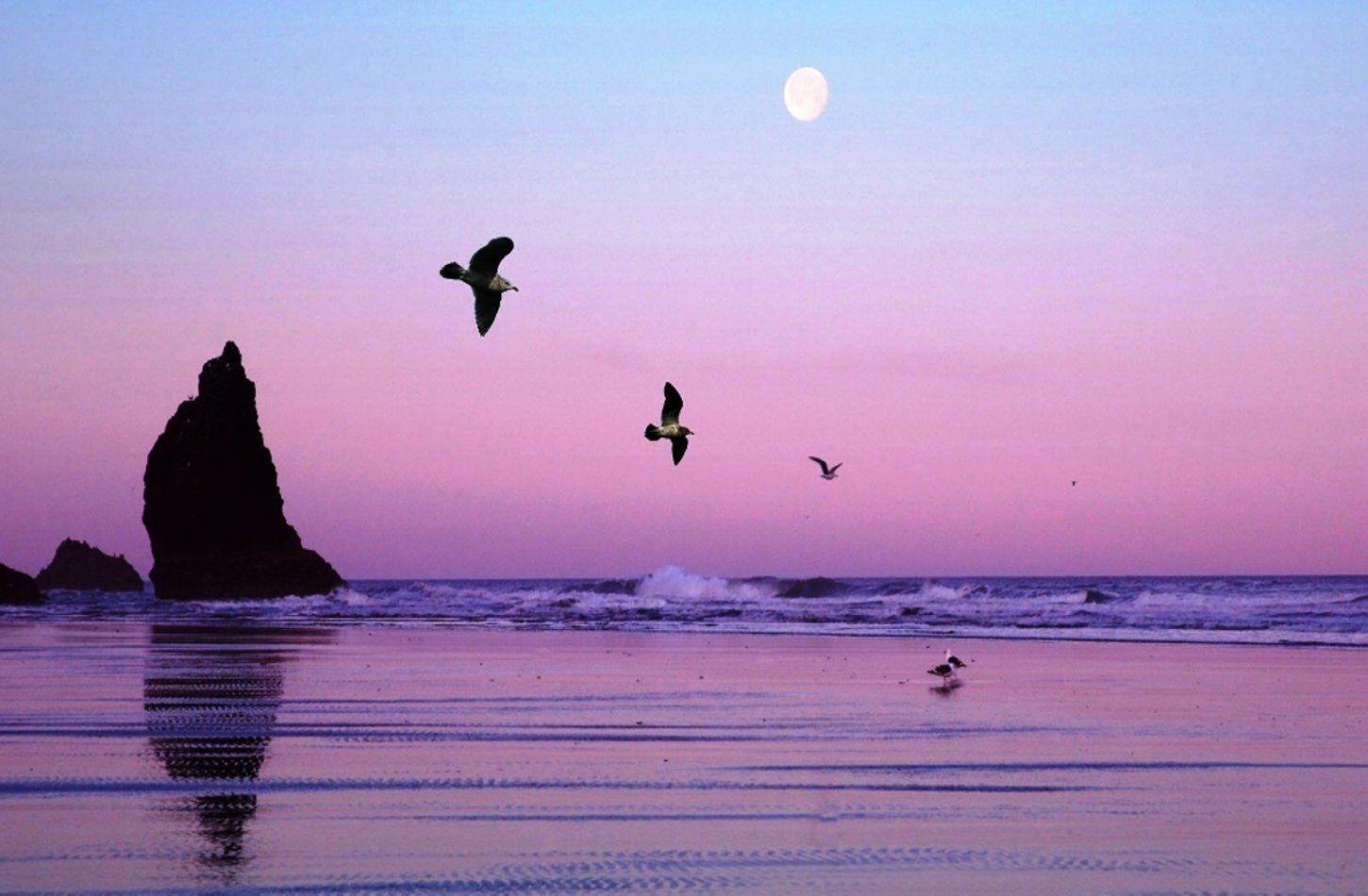 1450x950 To Everyone Who Feels Unappreciated. Beach tumblr, Summer