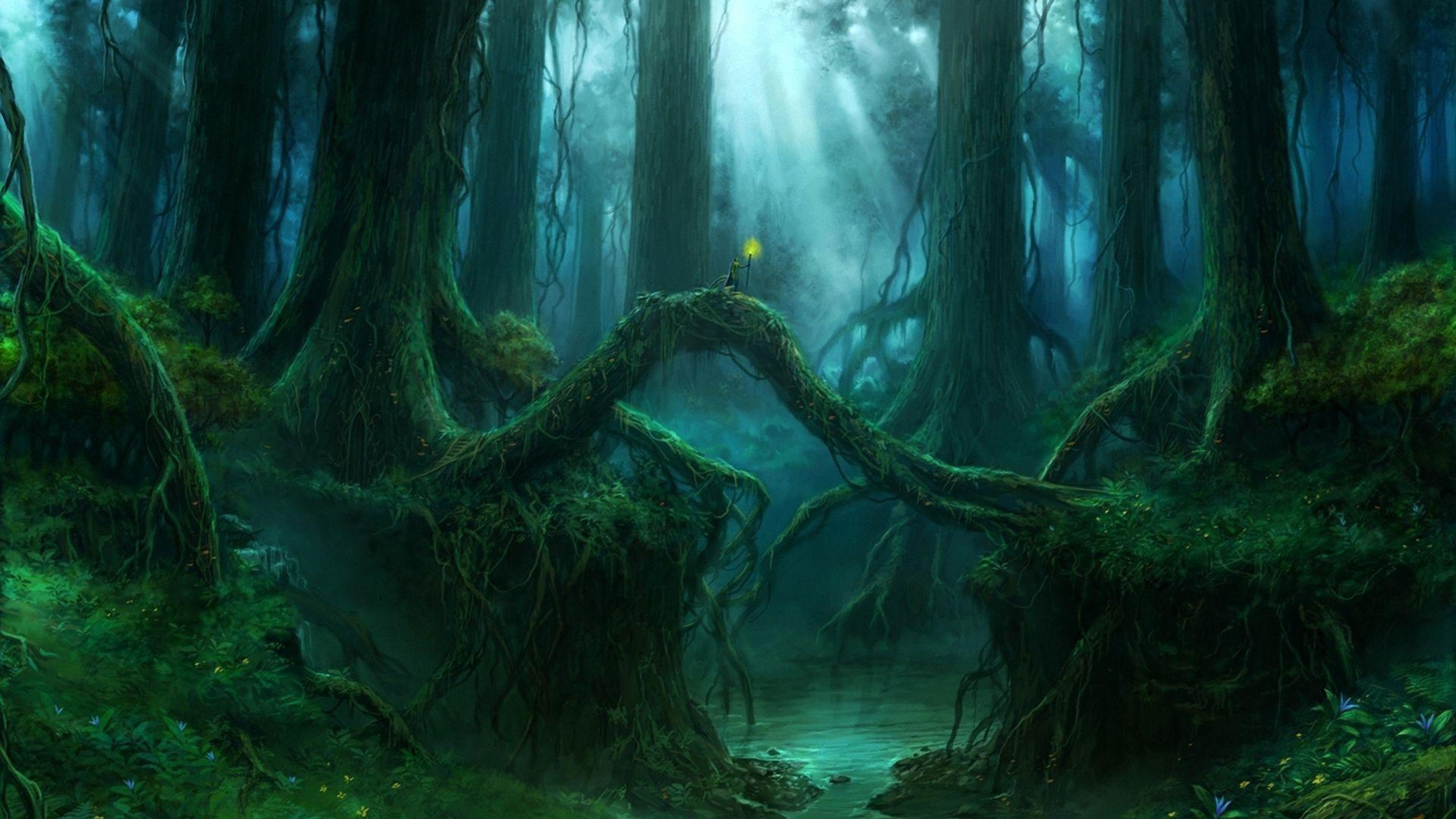 wallpaper magical forest