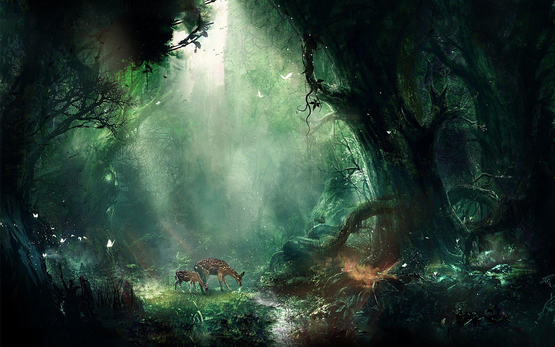 Magic Forest Wallpapers Top Free Magic Forest Backgrounds