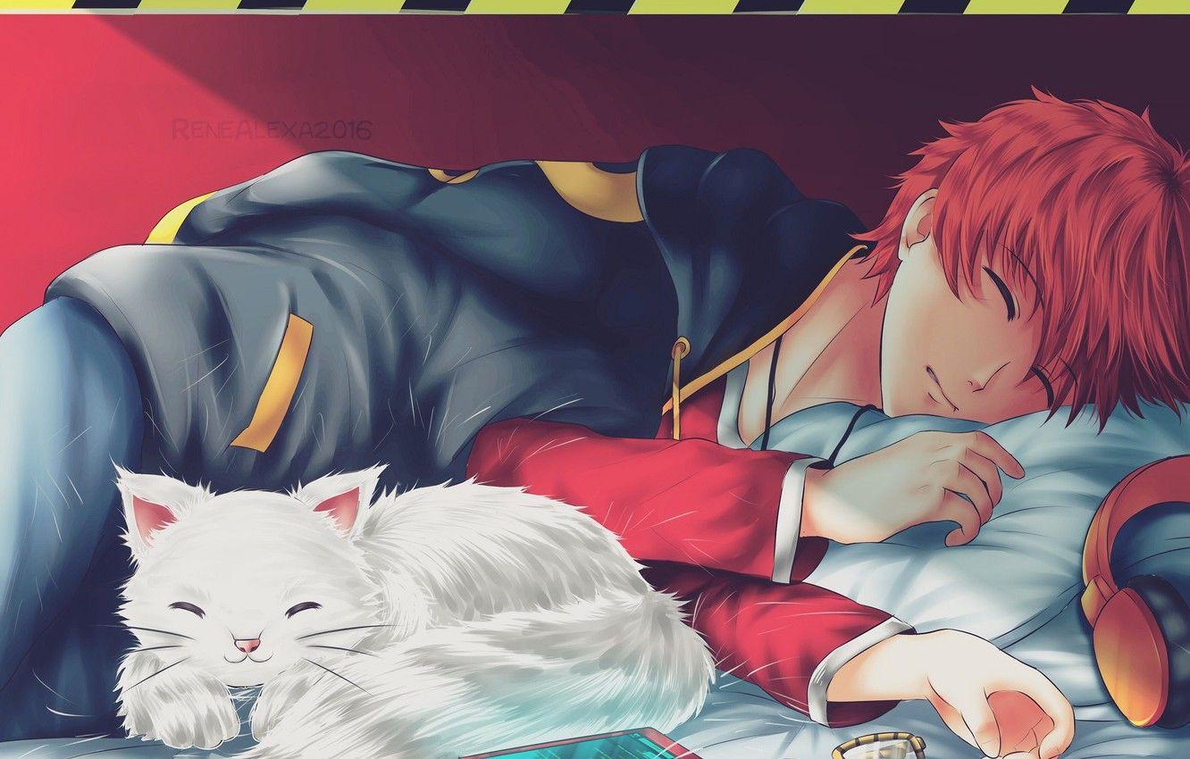 1332x850 Wallpaper cat, cat, guy, Mystic Messenger image for desktop