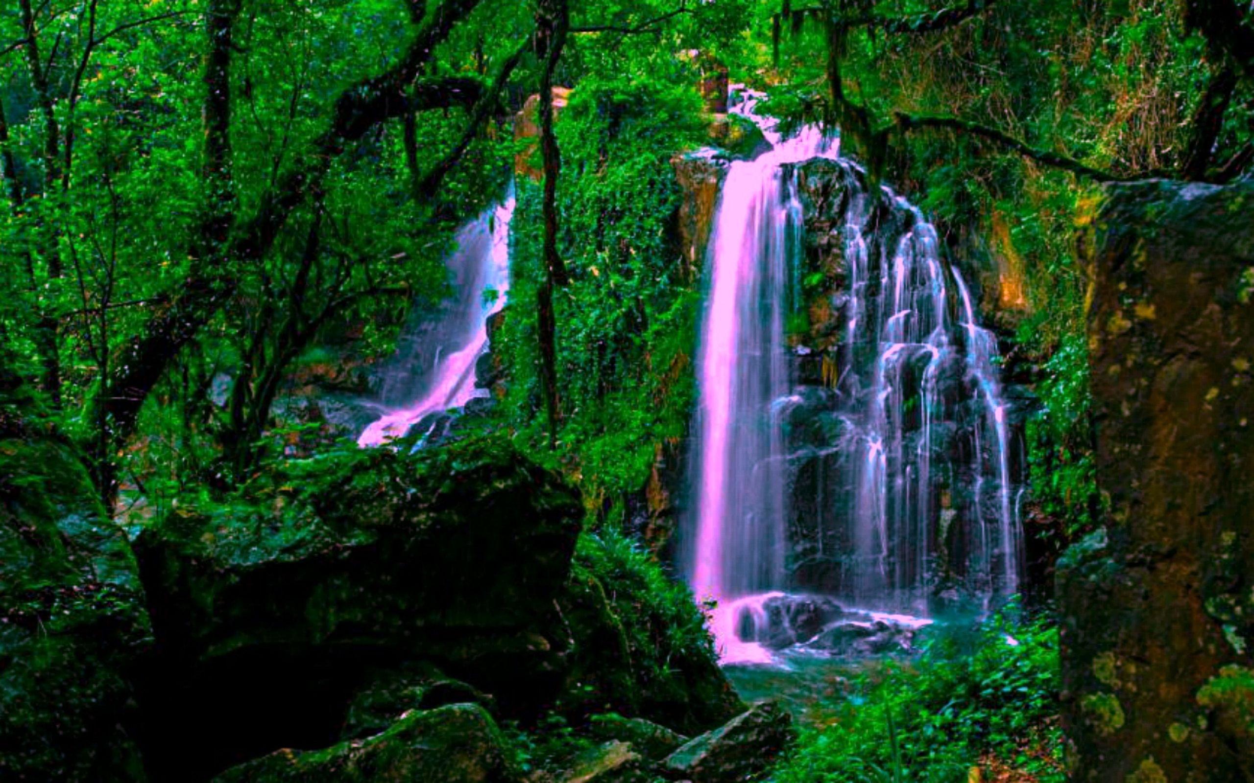 2560x1600 Magical Forest Waterfall Wide Wallpaper 552228 :