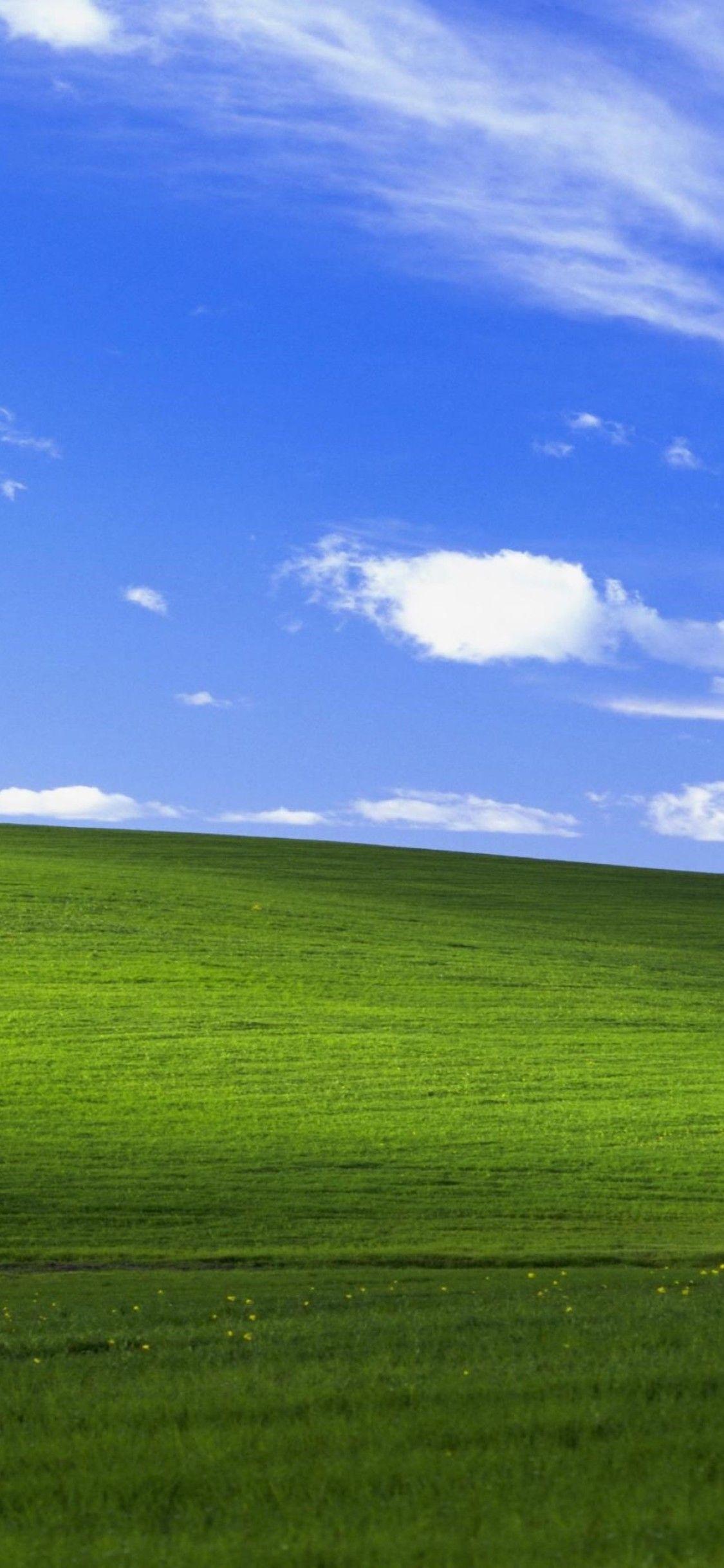 Ngọn đồi trong bức ảnh nền của Windows XP ngày ấy bây giờ ra sao