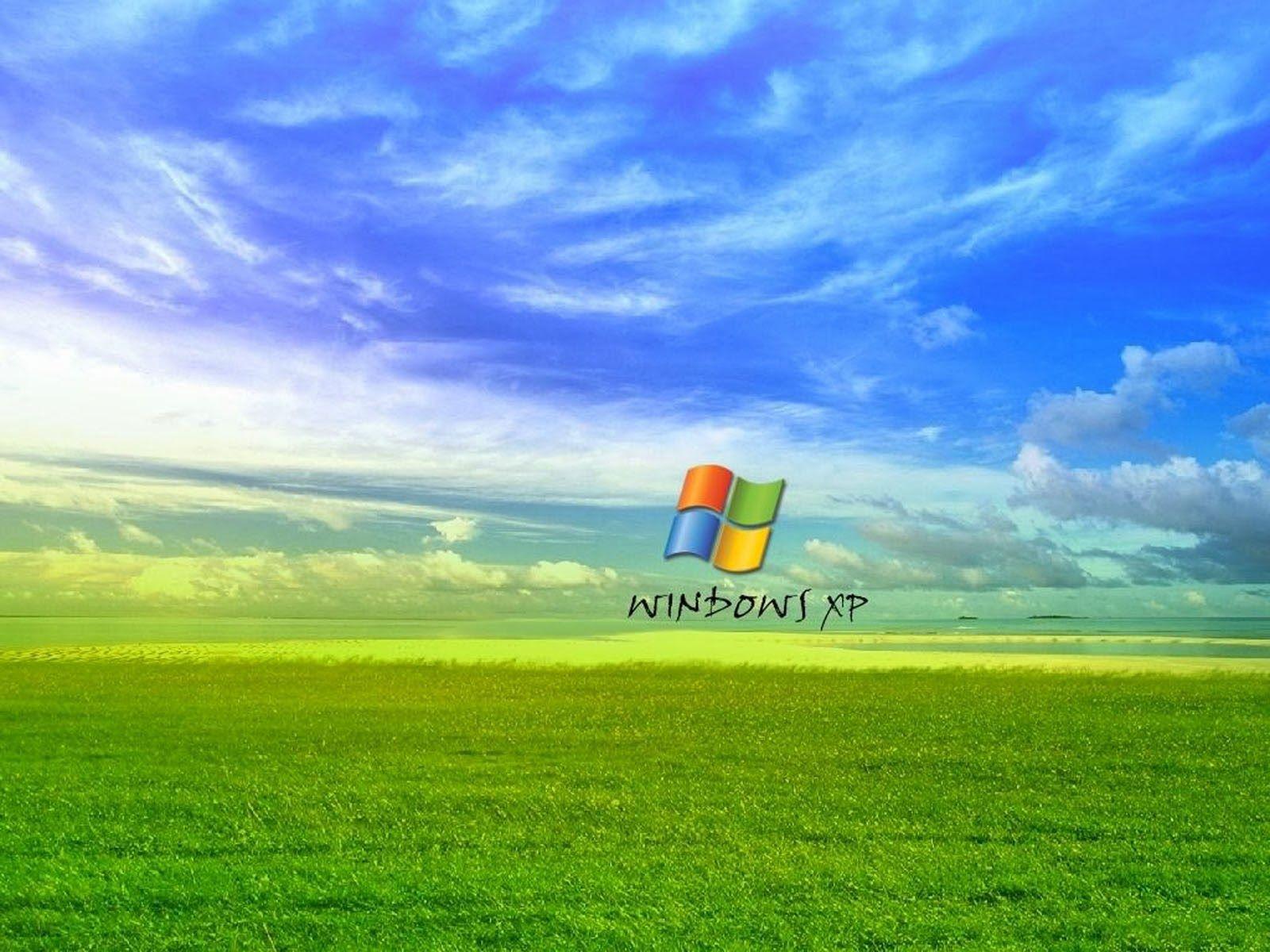 1600x1200 wallpaper: Grass Windows XP Wallpaper