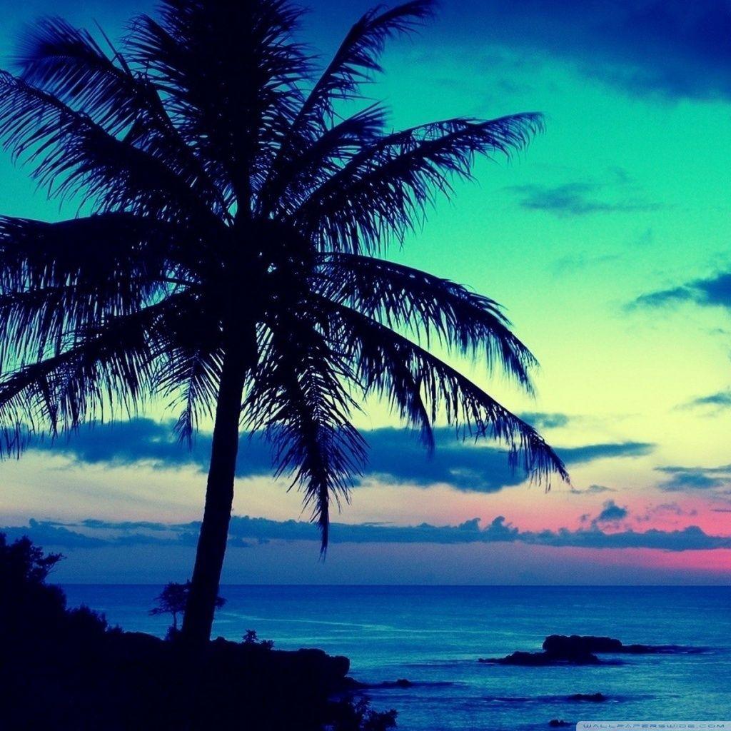 Tropical Sunrise Wallpapers Top Free Tropical Sunrise Backgrounds Wallpaperaccess 1276