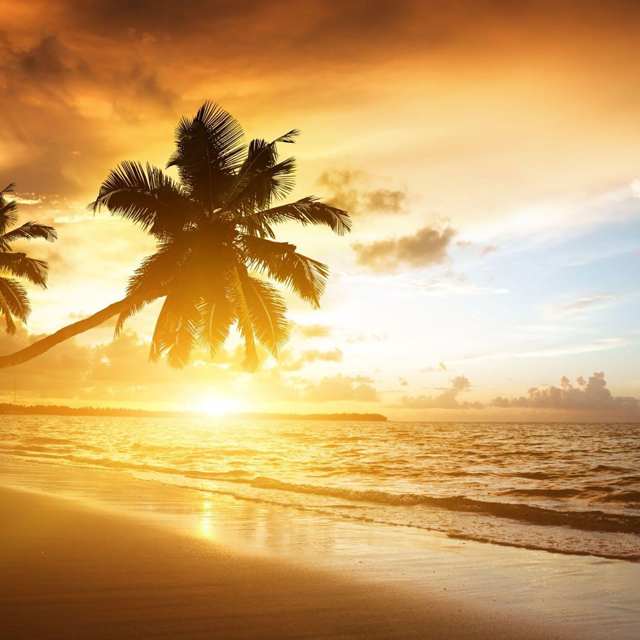 Tropical Sunrise Wallpapers Top Free Tropical Sunrise Backgrounds Wallpaperaccess 7473