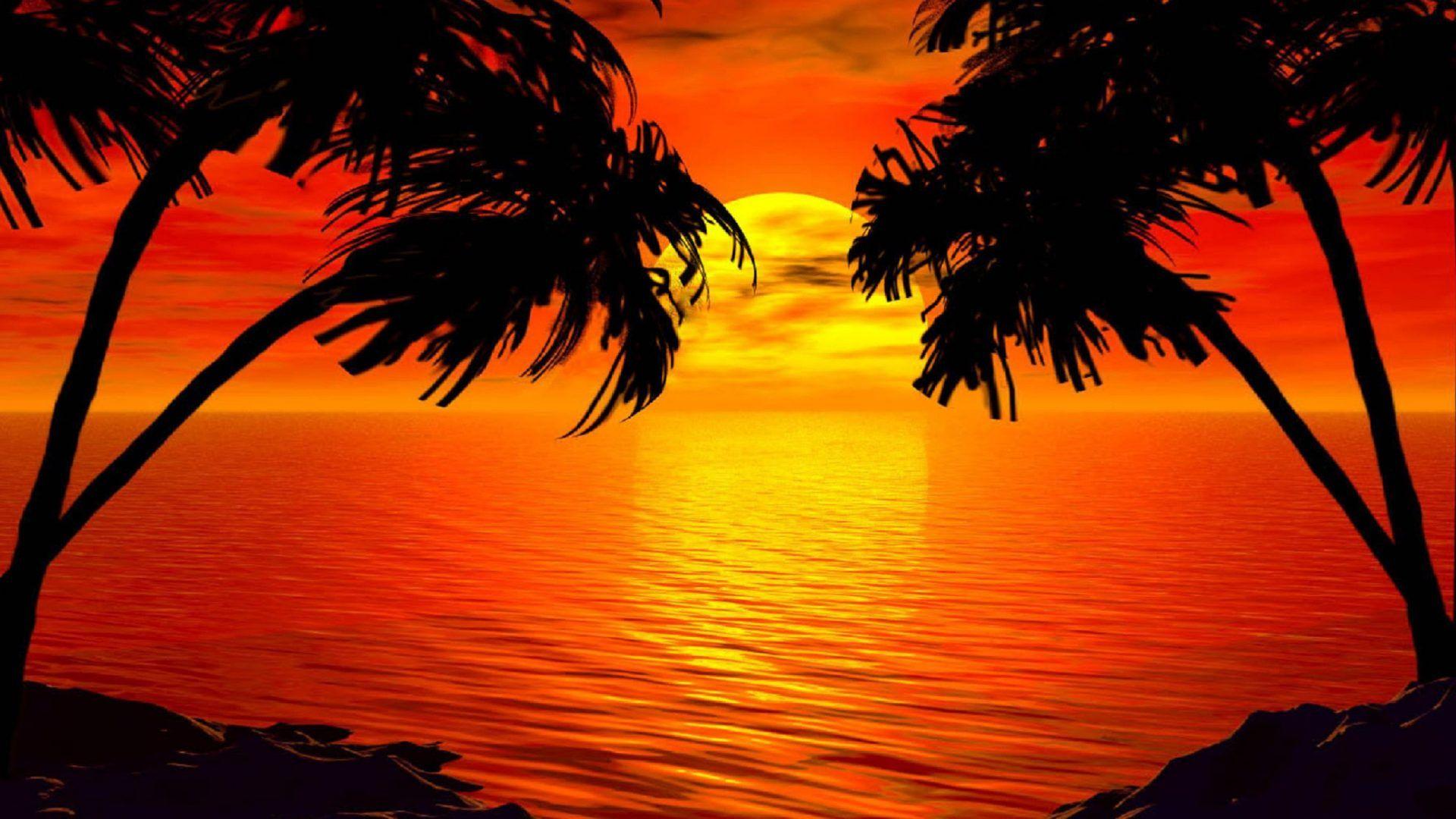 Tropical Sunrise Wallpapers - Top Những Hình Ảnh Đẹp