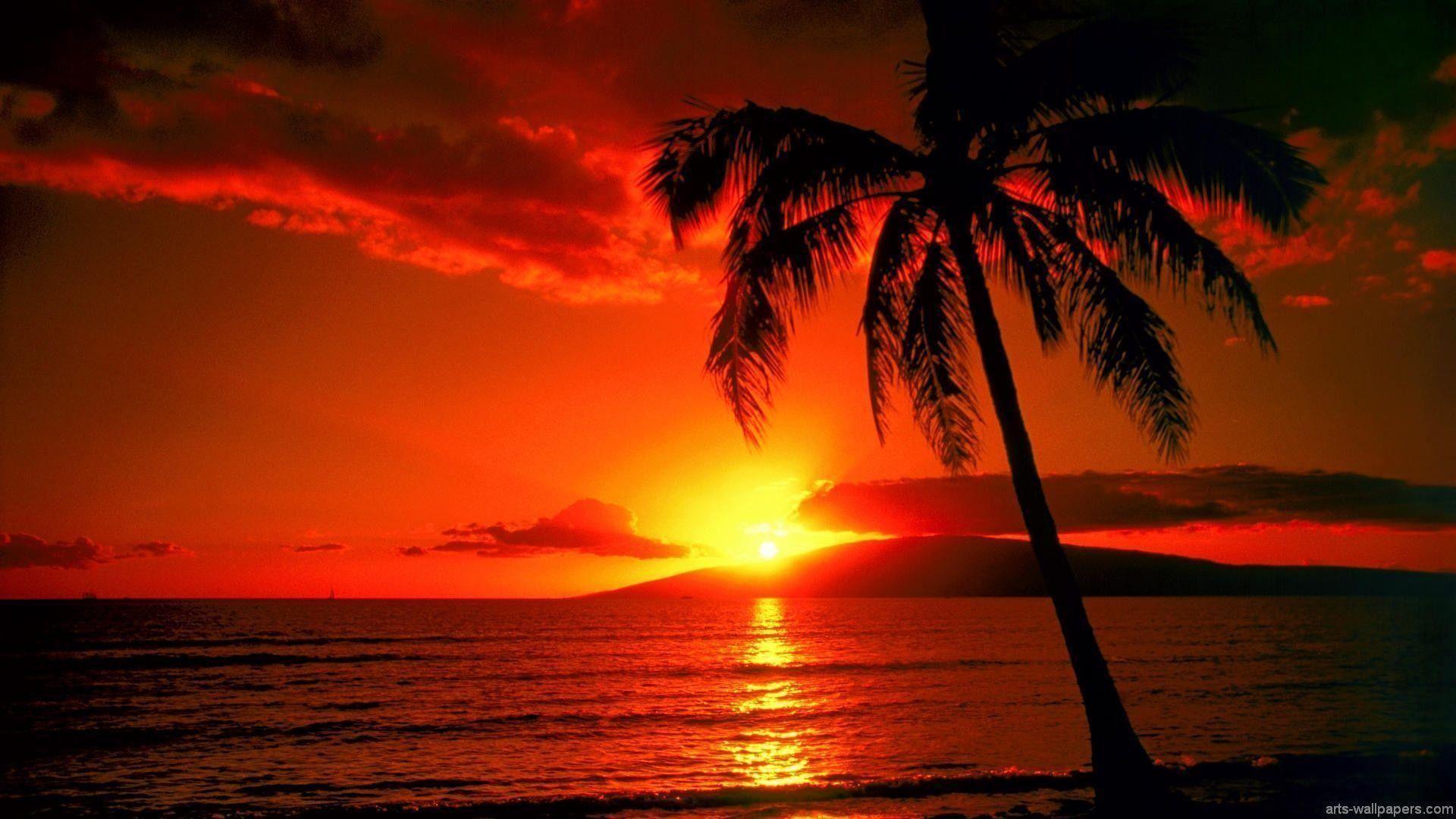 Tropical Sunrise Wallpapers Top Free Tropical Sunrise Backgrounds Wallpaperaccess