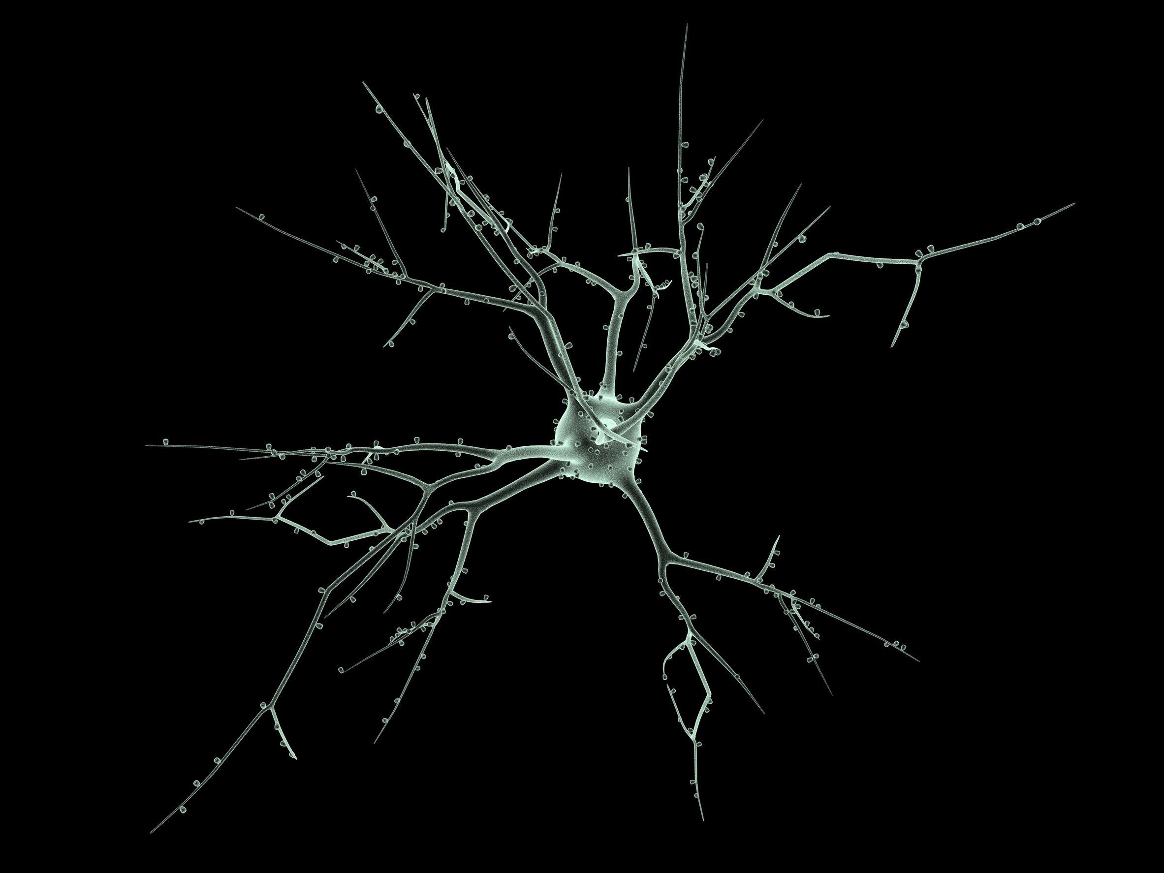 Neuroscience Wallpapers Top Free Neuroscience Backgrounds Wallpaperaccess 4341