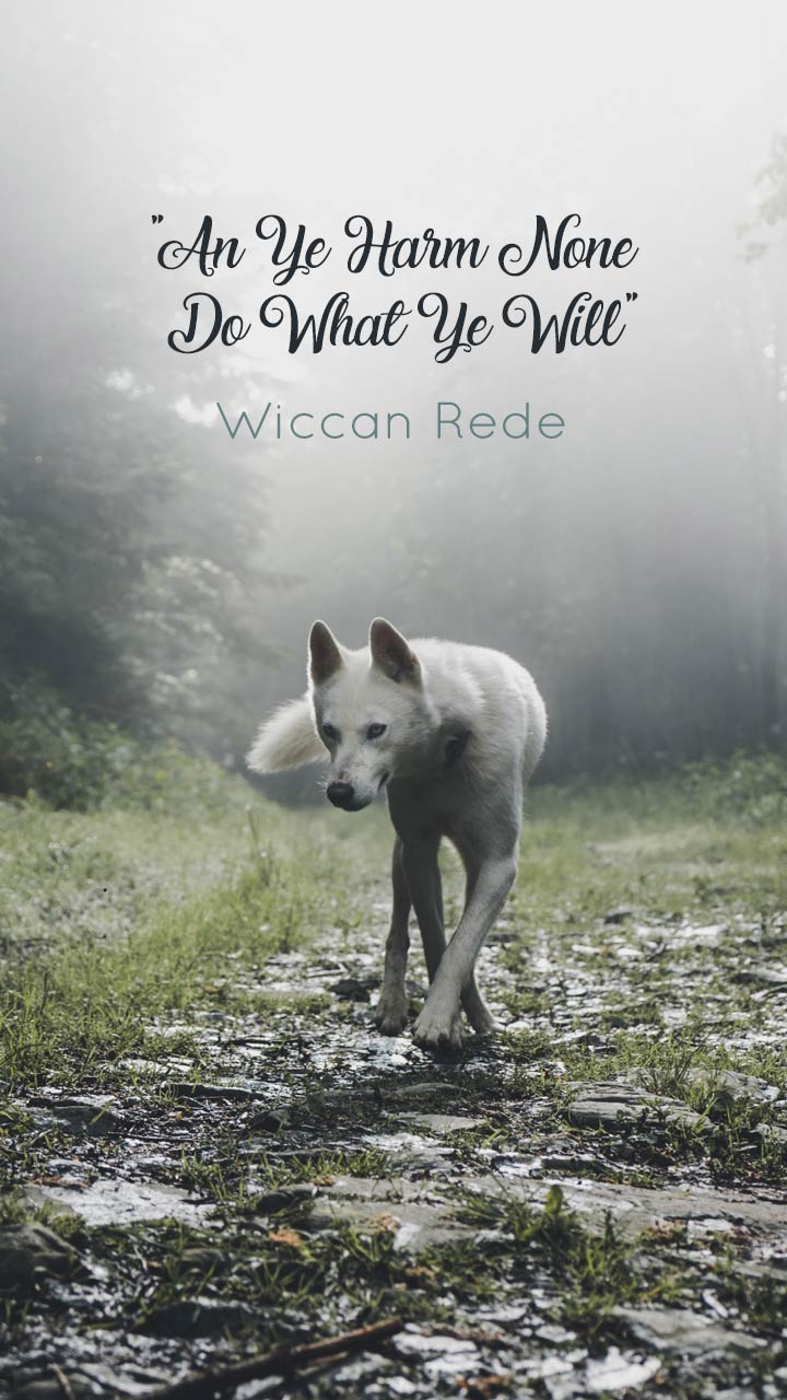 720x1280 Free Wiccan Wallpaper for Phone and Desktop