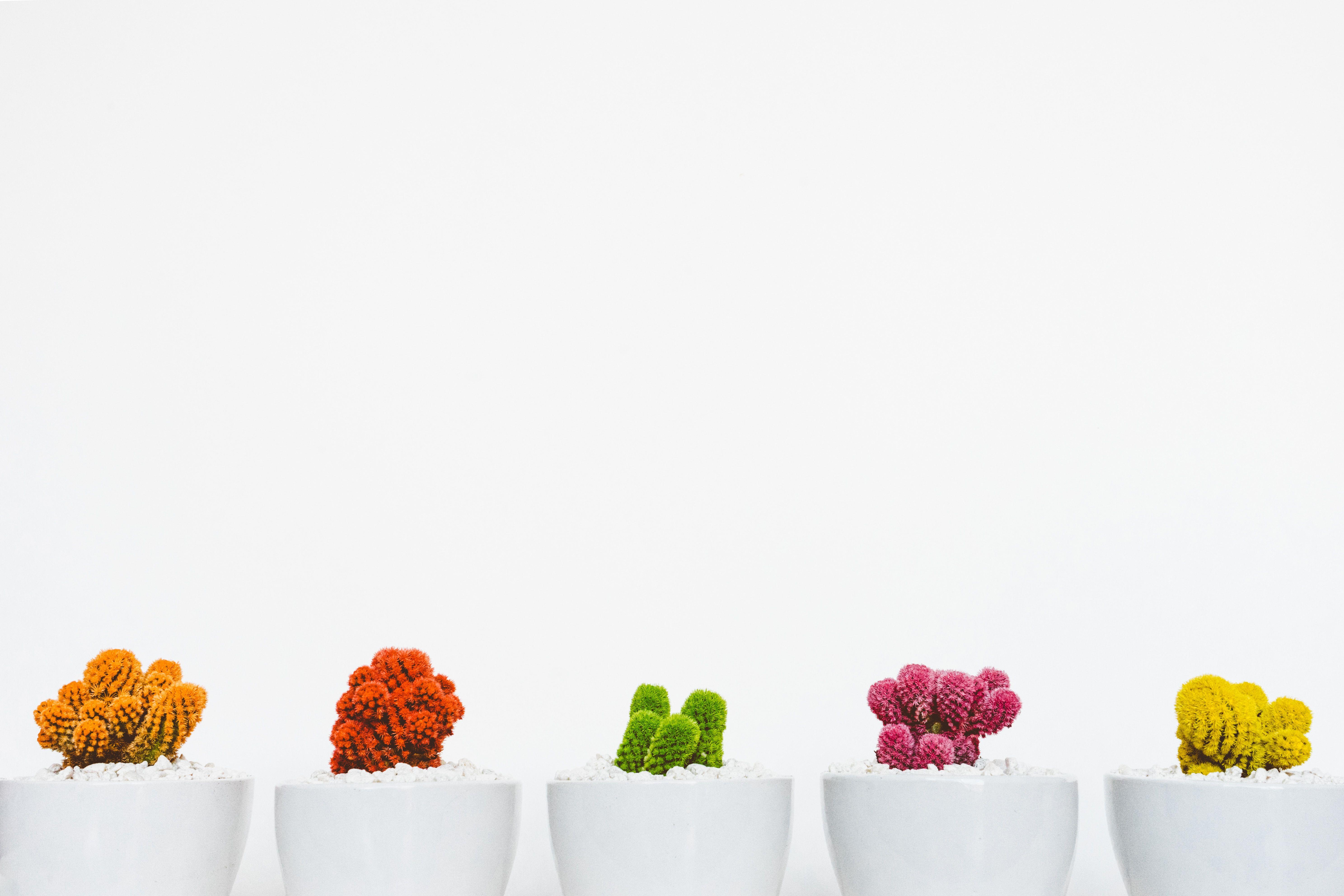 5950x3967 Minimalist Wallpaper: Free HD Download [HQ]