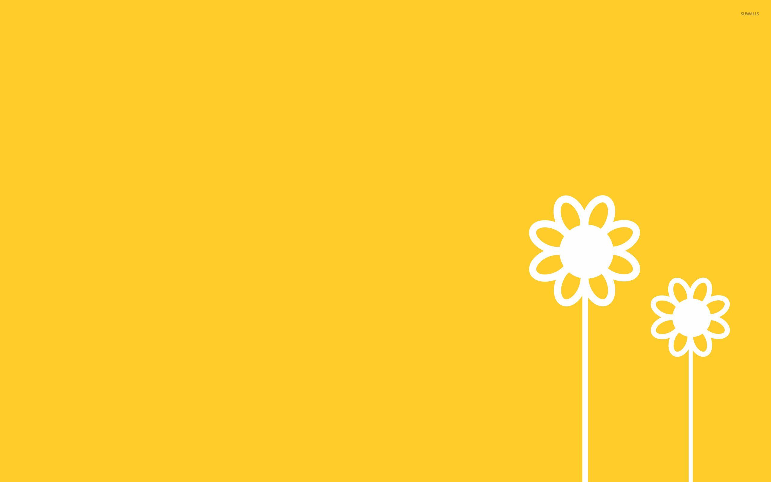 2560x1600 Flowers [31] wallpaper wallpaper