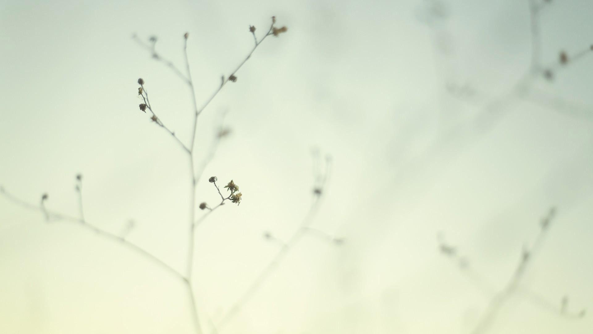 1920x1080 Minimalist HD Wallpaper