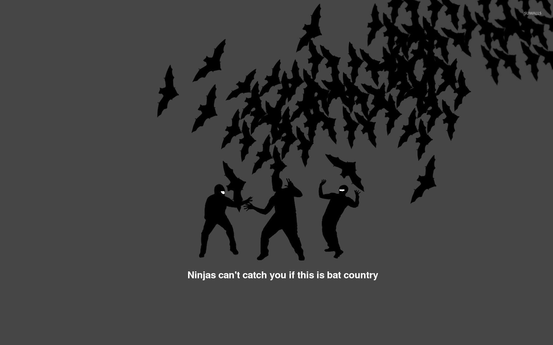 1920x1200 Ninjas can't catch you if you're a journalist wallpaper