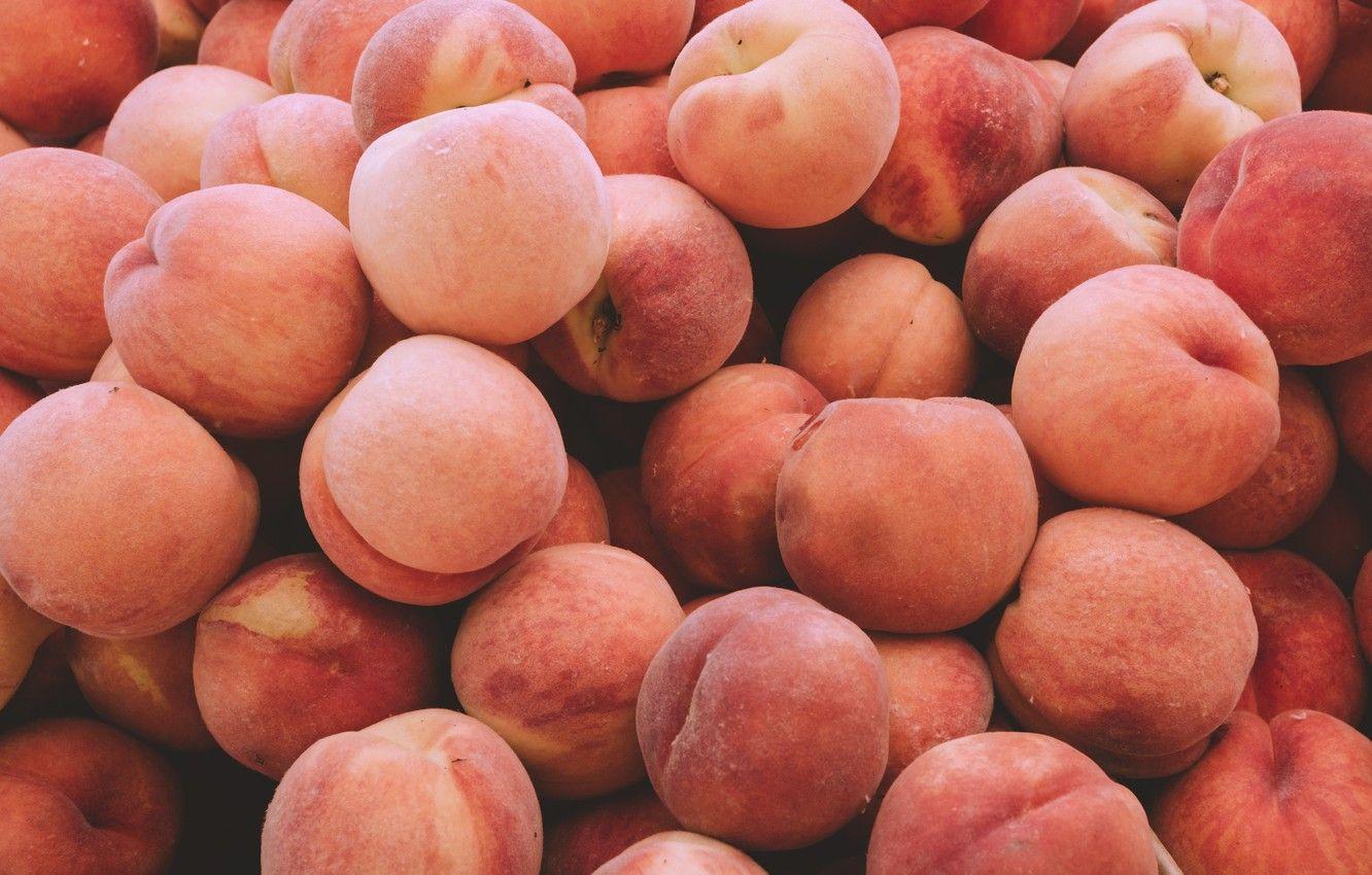 Peach Fruit Wallpapers Top Free Peach Fruit Backgrounds Wallpaperaccess