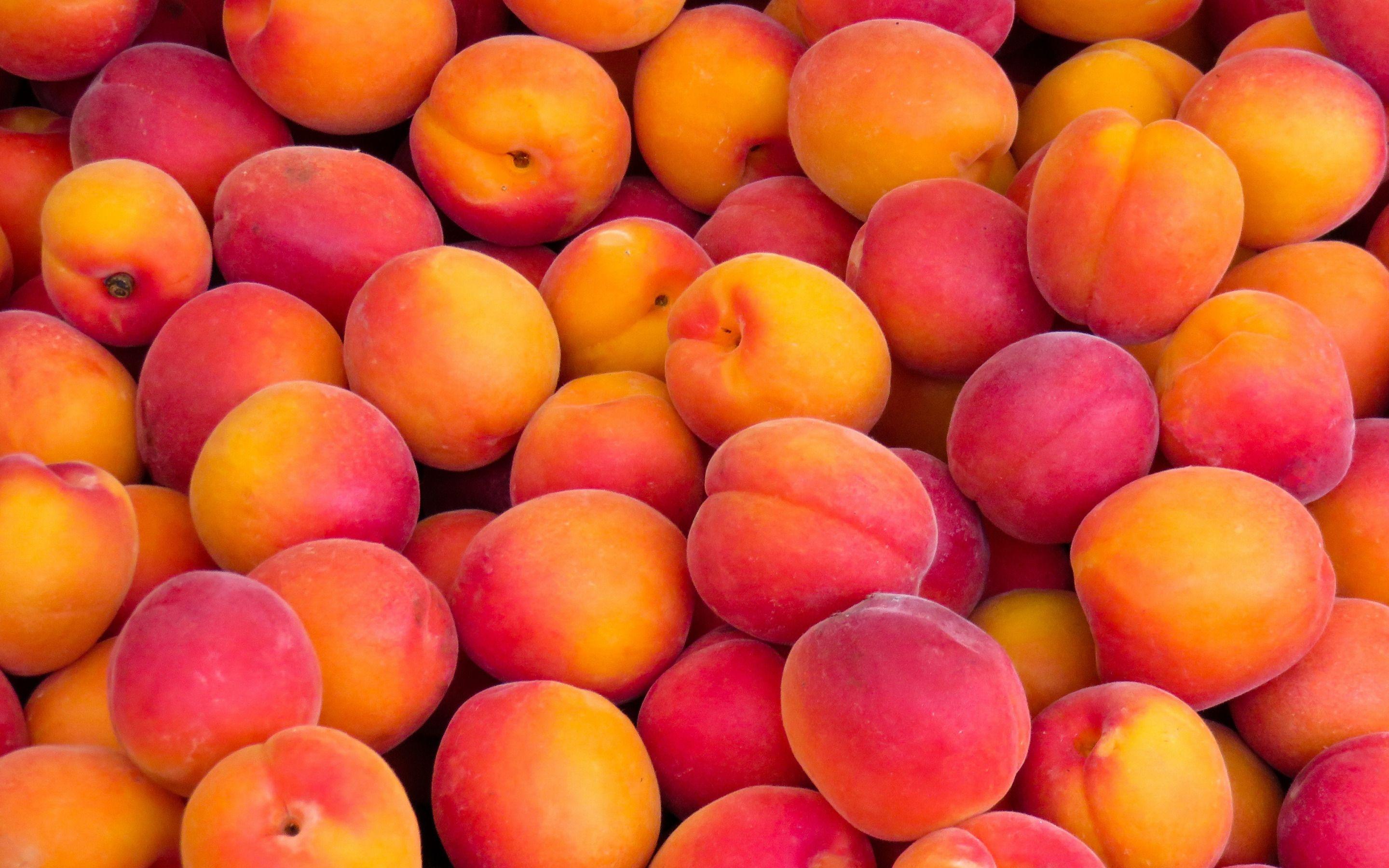 Peach Background Wallpaper