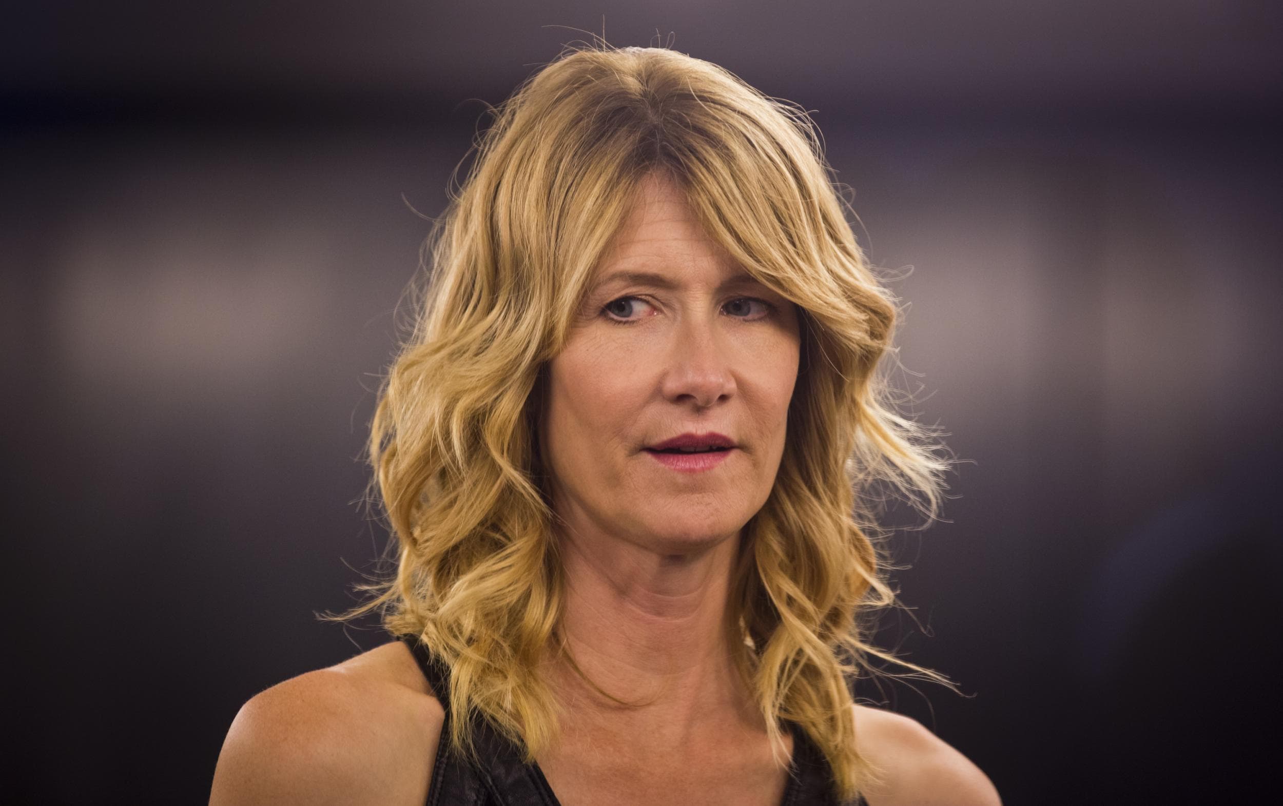 2500x1571 Laura Dern Wallpaper