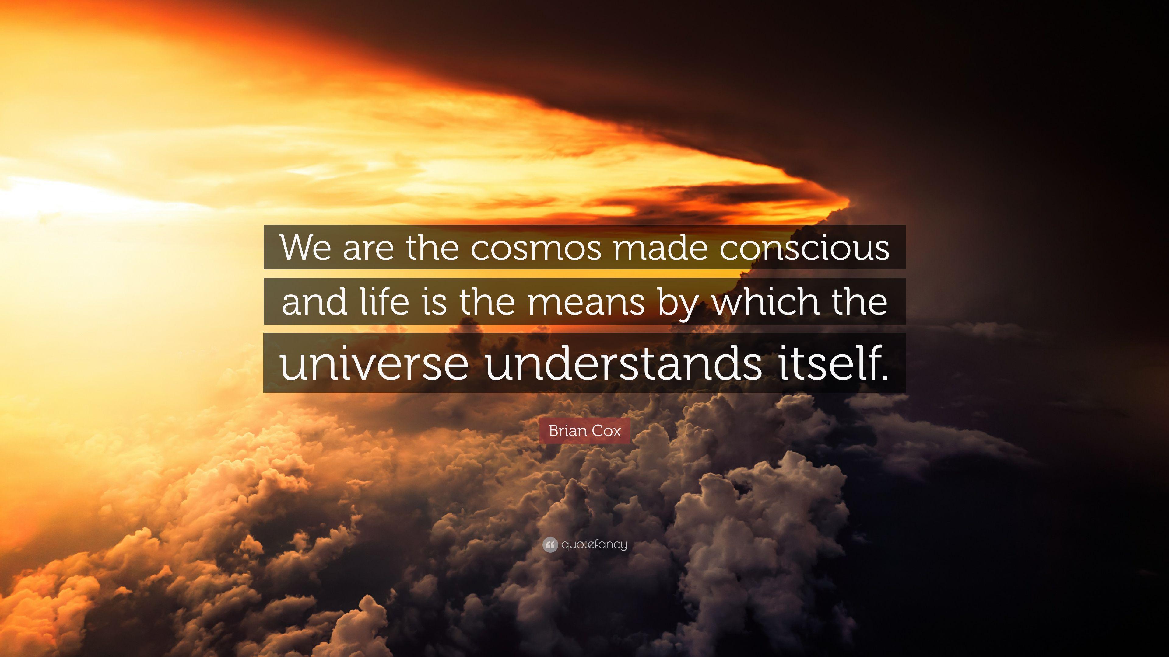 3840x2160 Brian Cox Quote: “We are the cosmos made conscious and life is