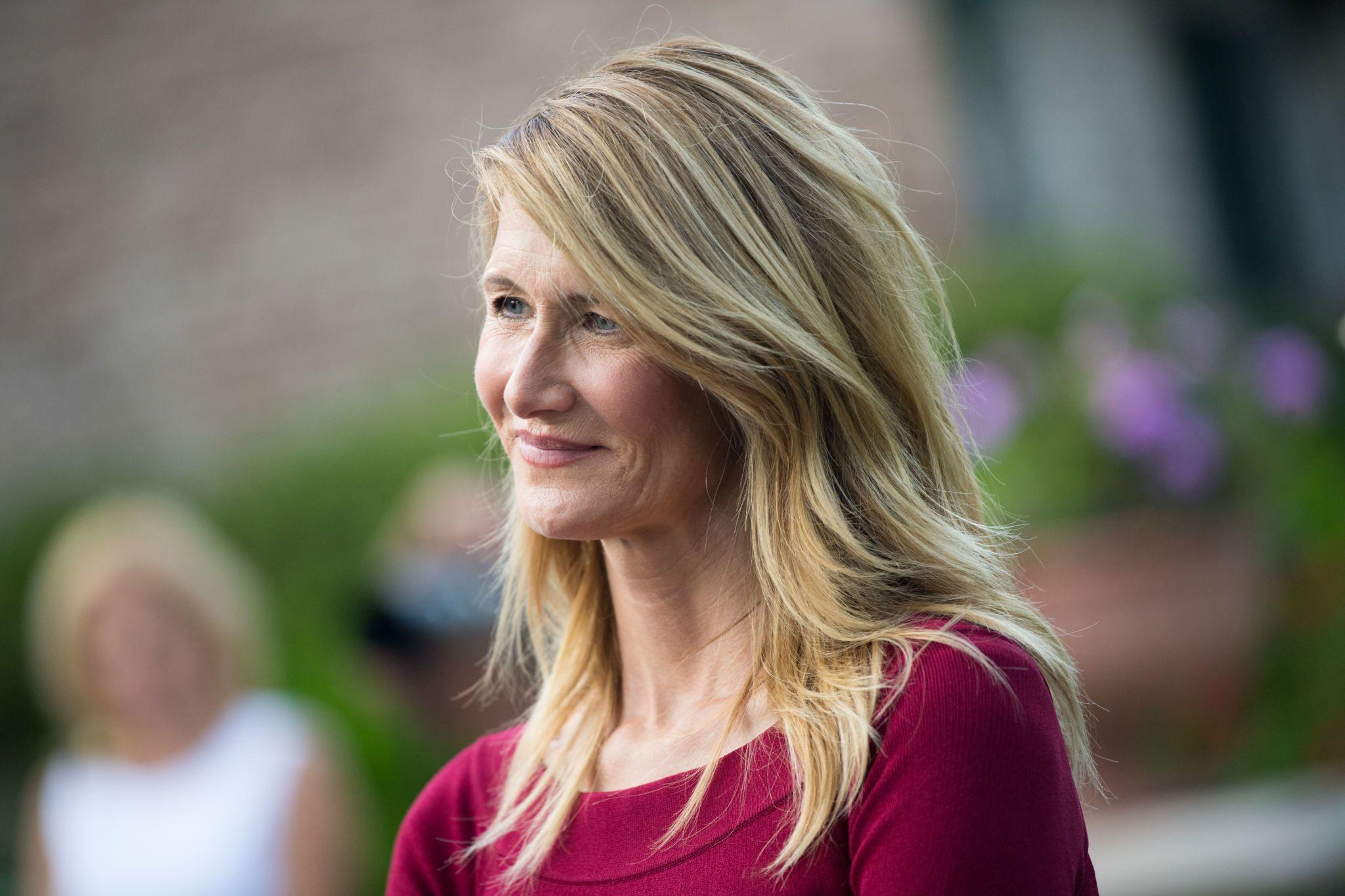 2048x1365 Laura Dern Wallpaper