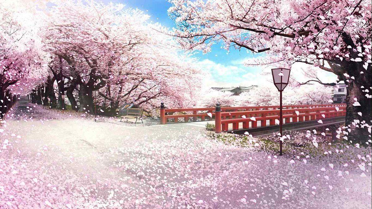 Japanese Sakura Anime Wallpapers - Top Free Japanese Sakura Anime  Backgrounds - WallpaperAccess