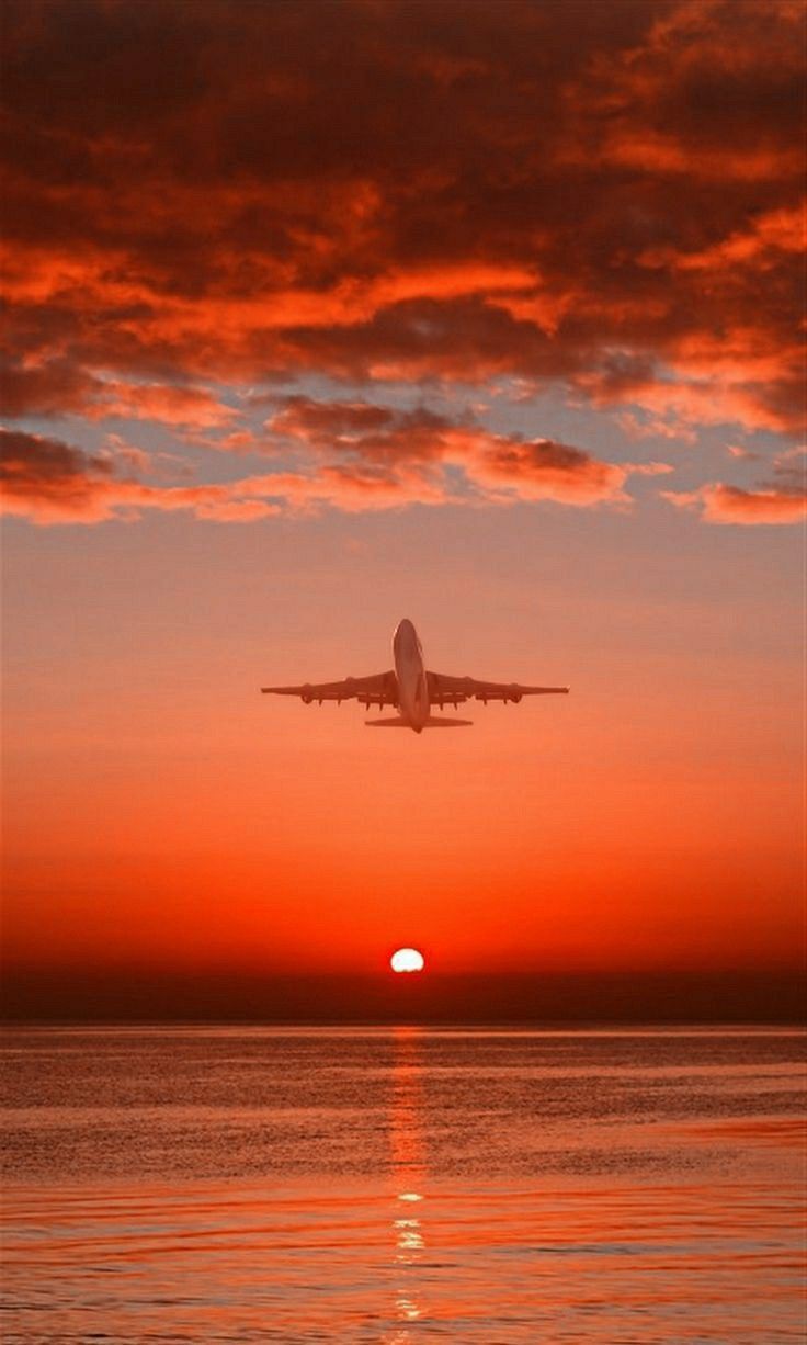 736x1226 Airplane Sunset Beach Wallpaper