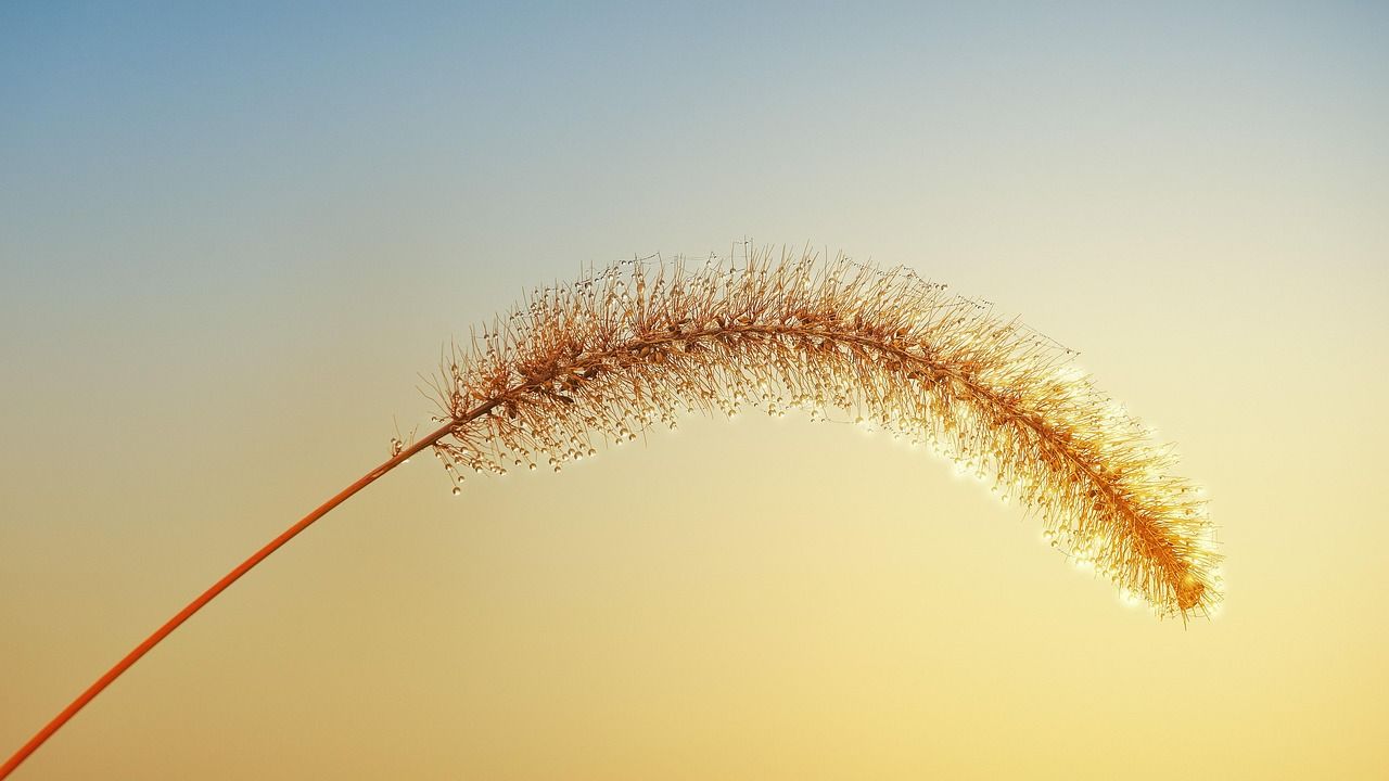 1280x720 Desktop Wallpaper & 4K Wallpaper for PC