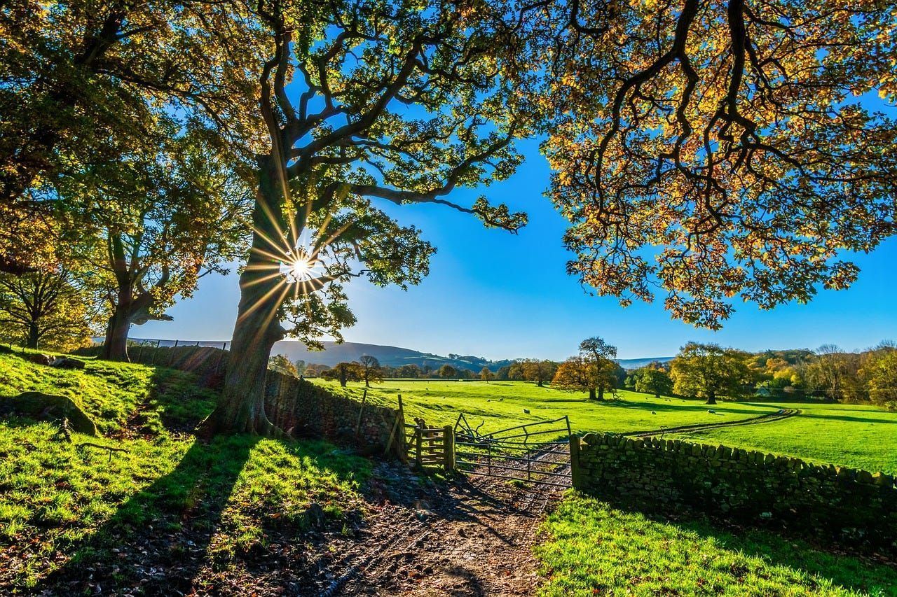 1280x853 My Journey And What I Found Along The Way. By Pixabay. Pixabay. Get Togethers