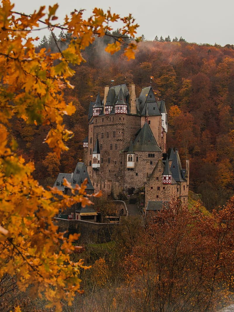 800x1067 Castle, autumn, architecture, germany, branches, leaves, HD phone wallpaper