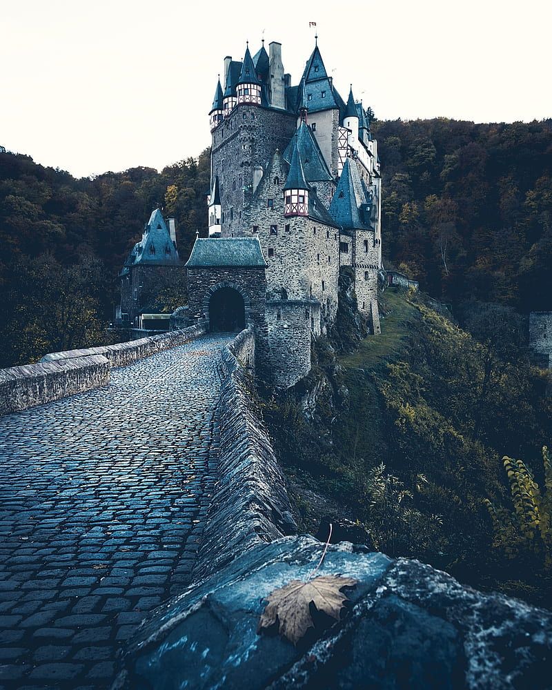 800x1000 Architecture, tower, castle, portrait display, cobblestone, leaves, trees, forest, HD phone wallpaper