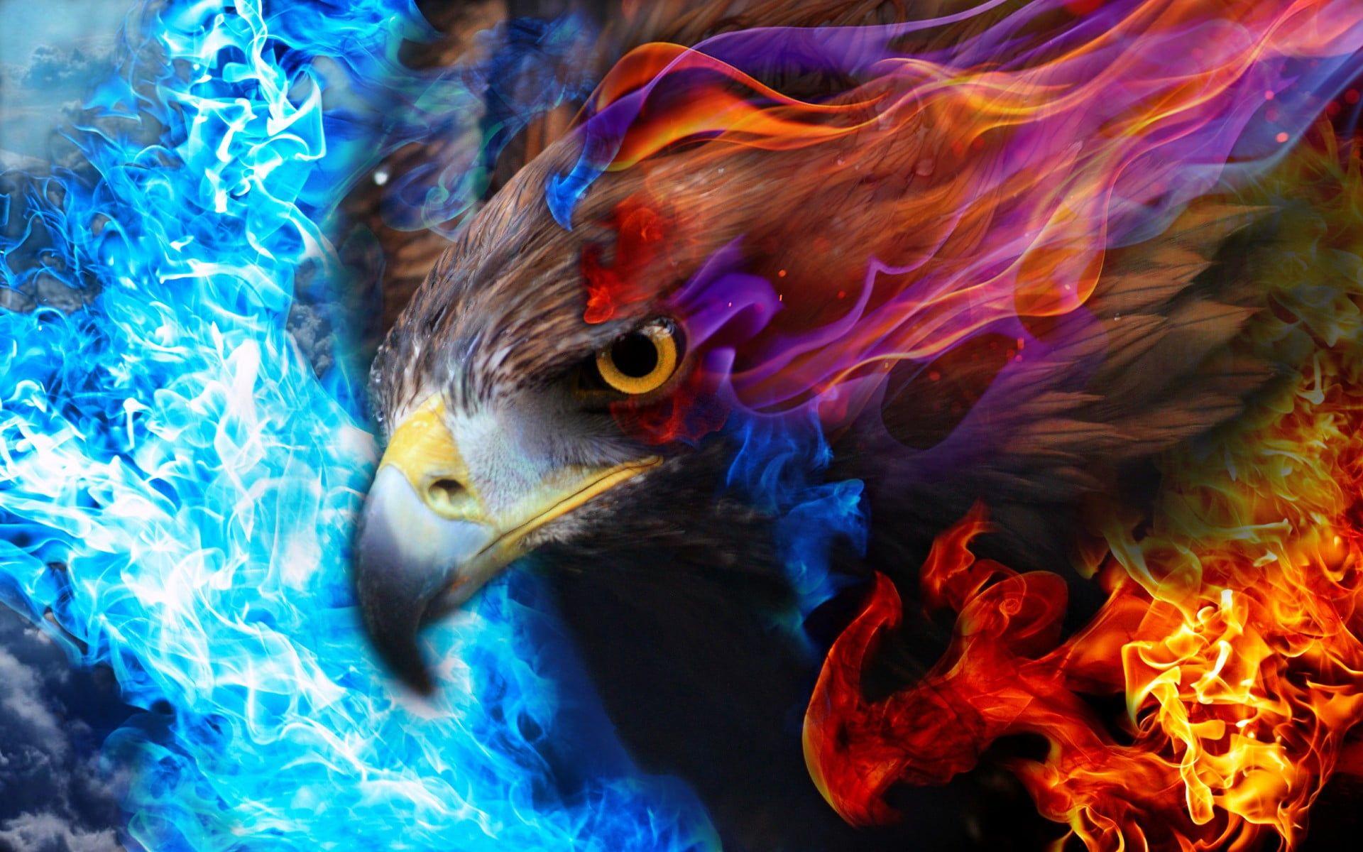 Fire Eagle Wallpapers - Top Free Fire Eagle Backgrounds - WallpaperAccess