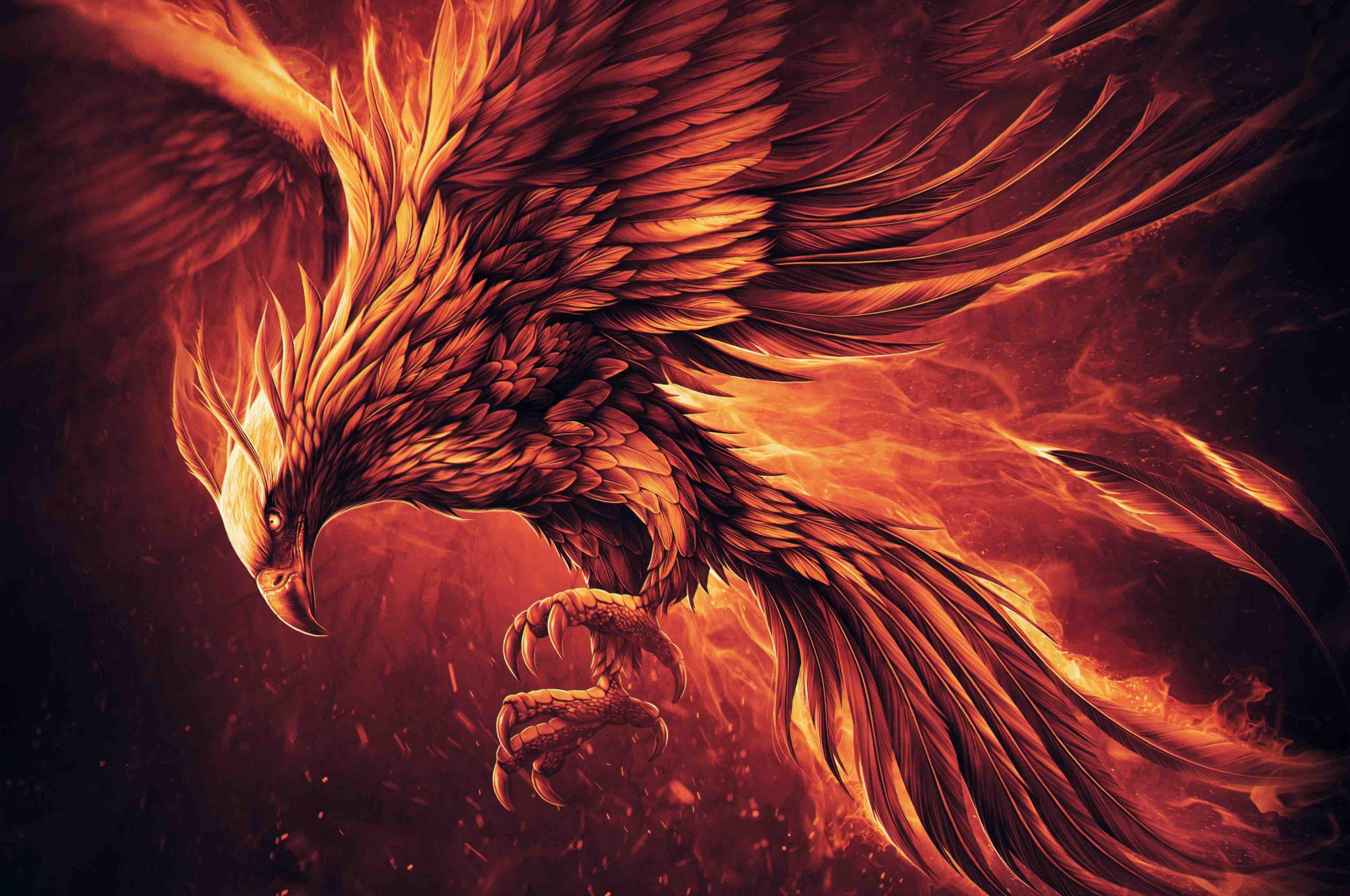 Fire Eagle Wallpapers - Top Free Fire Eagle Backgrounds - WallpaperAccess