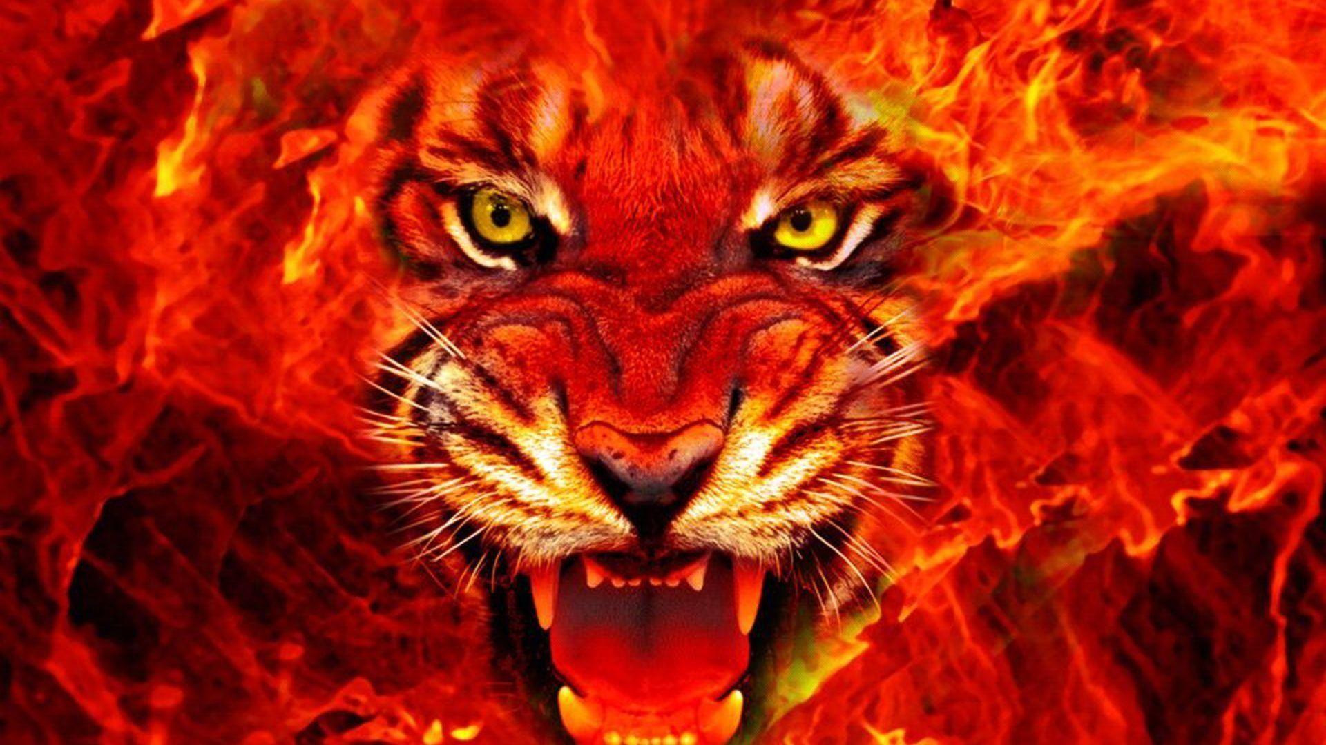 1920x1080 Animal Tiger Face Fire 4k Ultra HD Wallpaper For Desktop