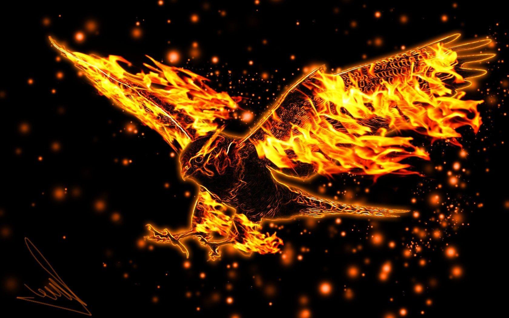 Fire Eagle Wallpapers - Top Free Fire Eagle Backgrounds - WallpaperAccess