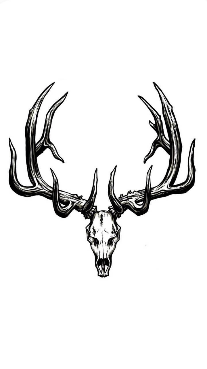 720x1280 Deer skull wallpaper