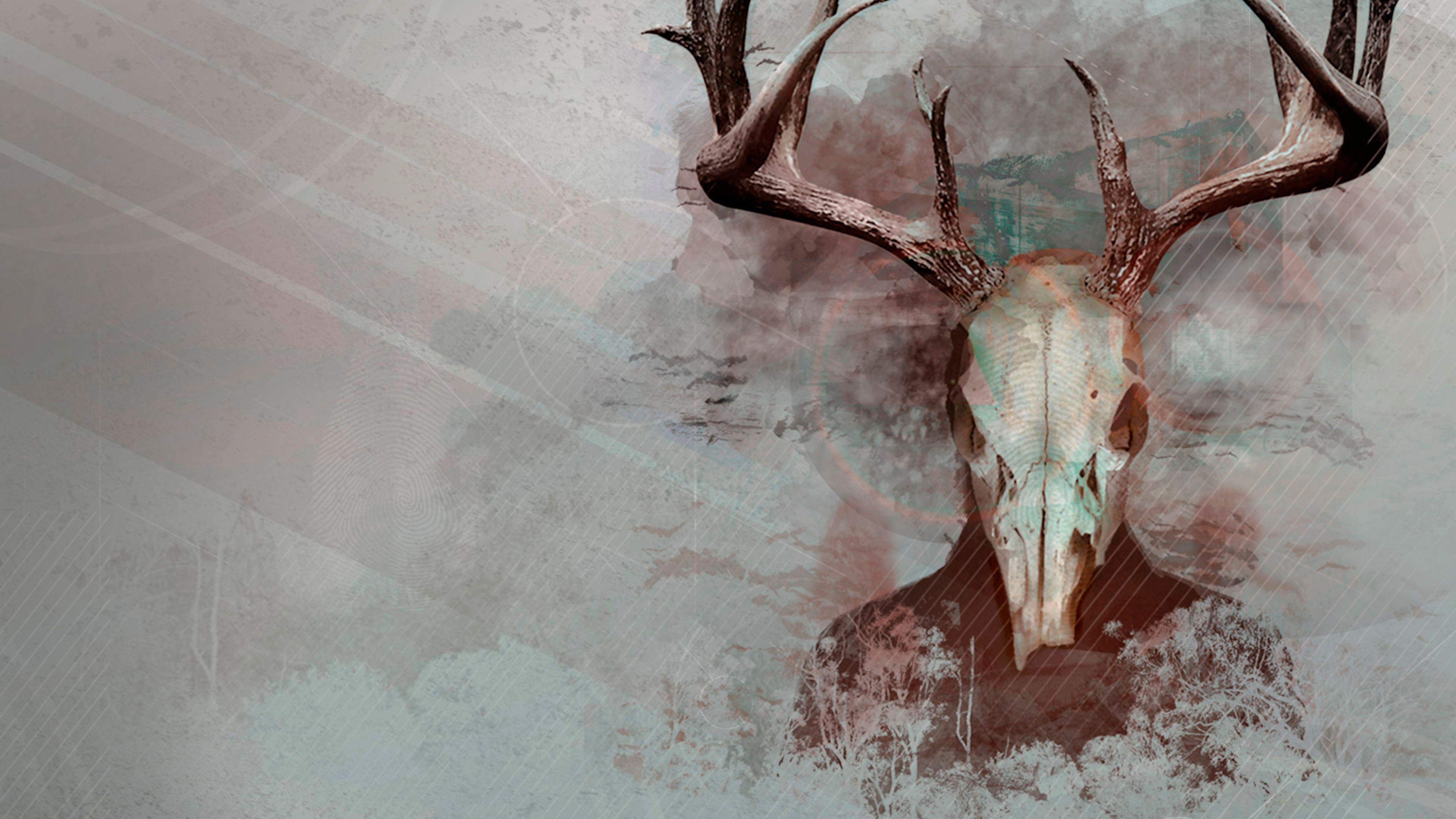 5120x2880 Intruders Skull 5K Wallpaper, HD Games 4K Wallpaper