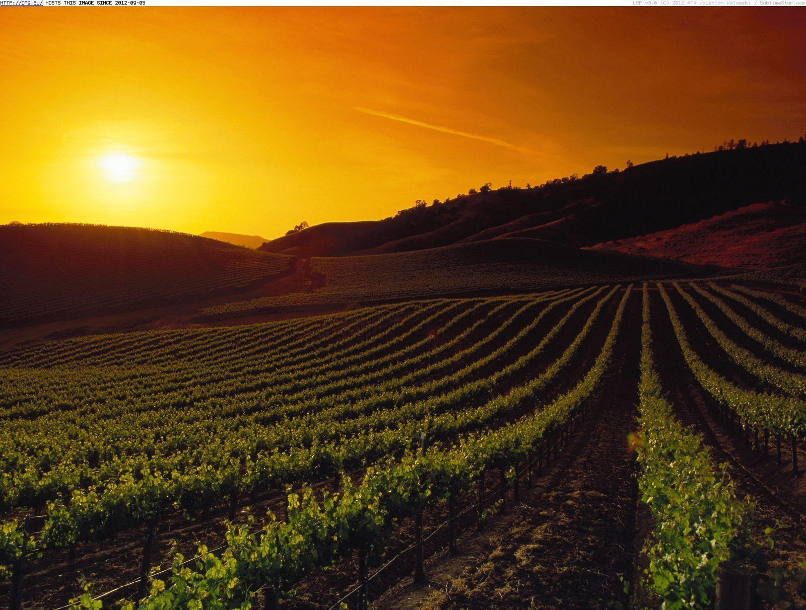 Napa Wallpapers - Top Free Napa Backgrounds - WallpaperAccess