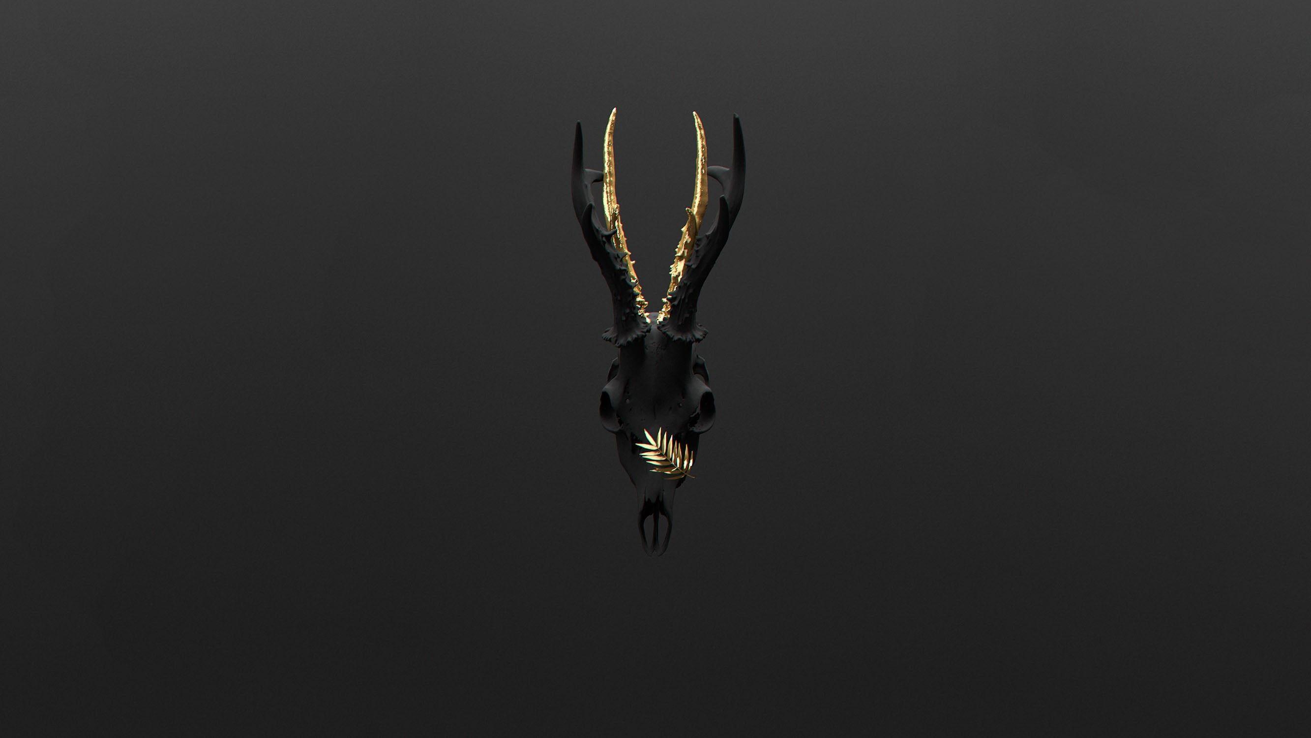 2666x1500 Black antler, deer, skull HD wallpaper