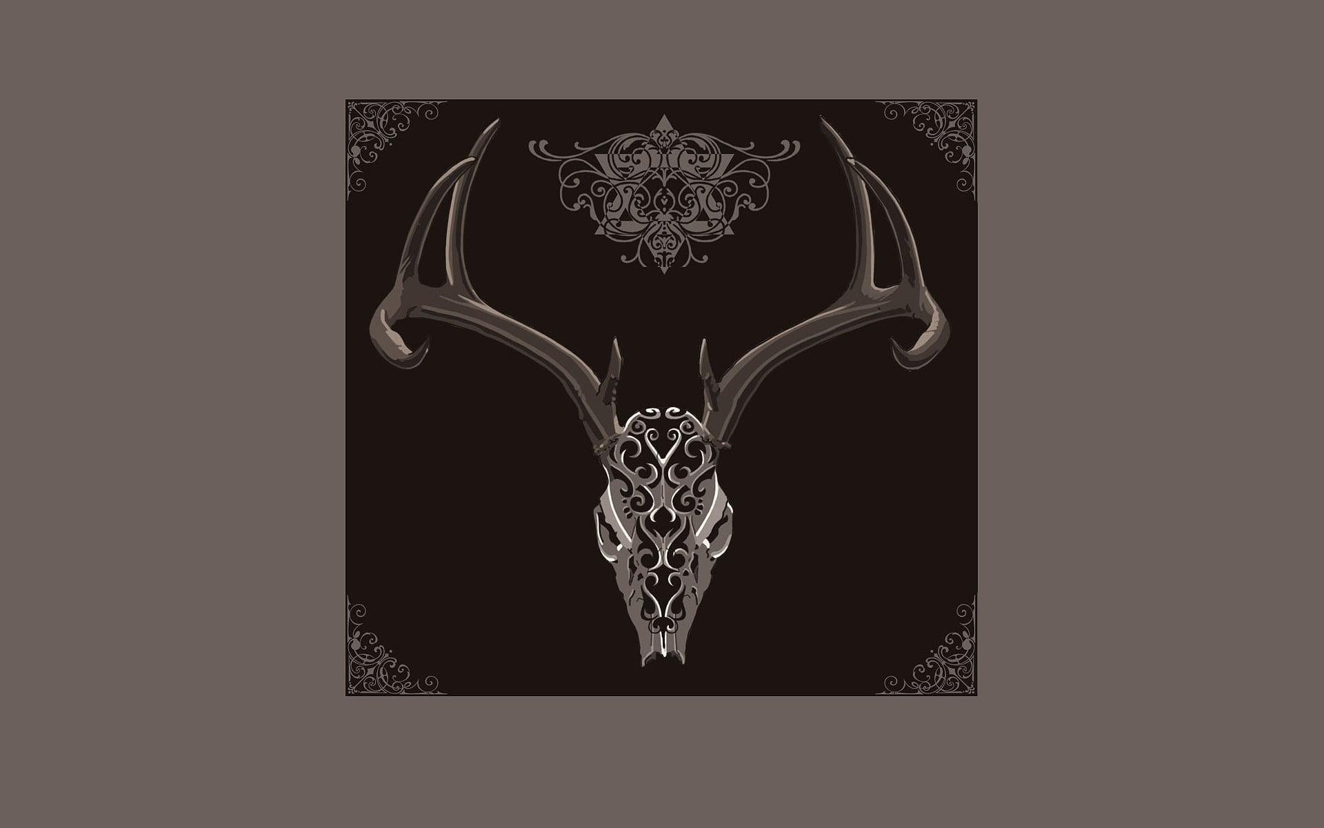 1920x1200 White and brown bull skull wall decor, artwork, deer HD wallpaper