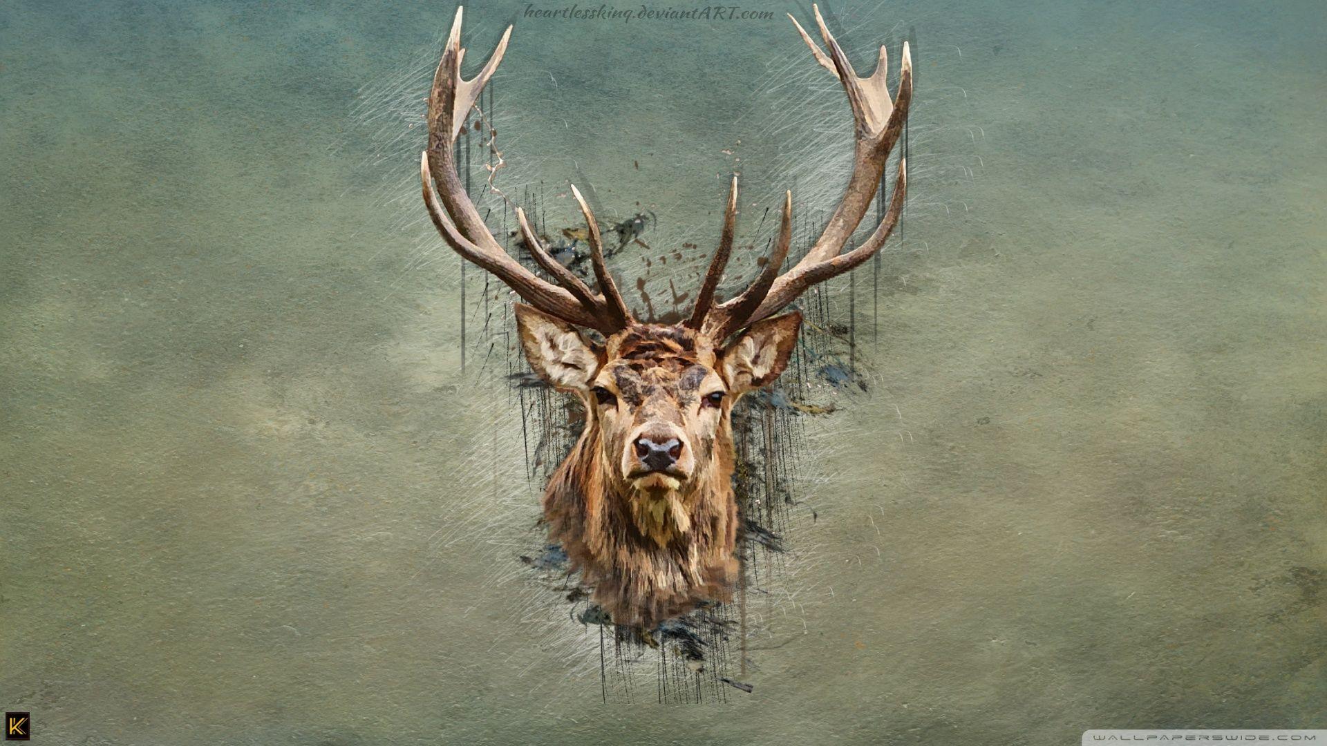 1920x1080 Deer Background for Windows 7. Reindeer