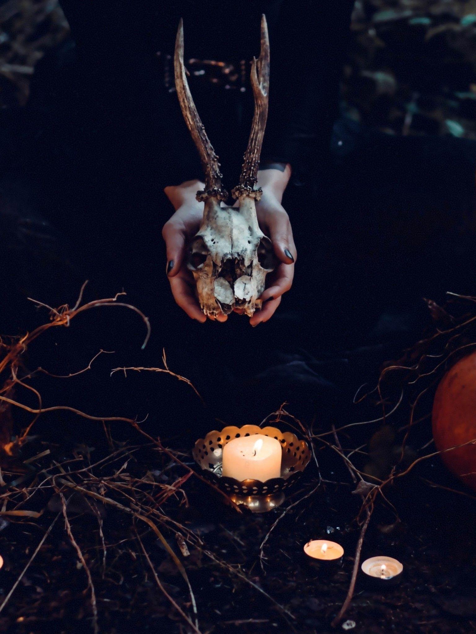 1536x2048 Download 1536x2048 Halloween Pumpkins, Skull, Candles