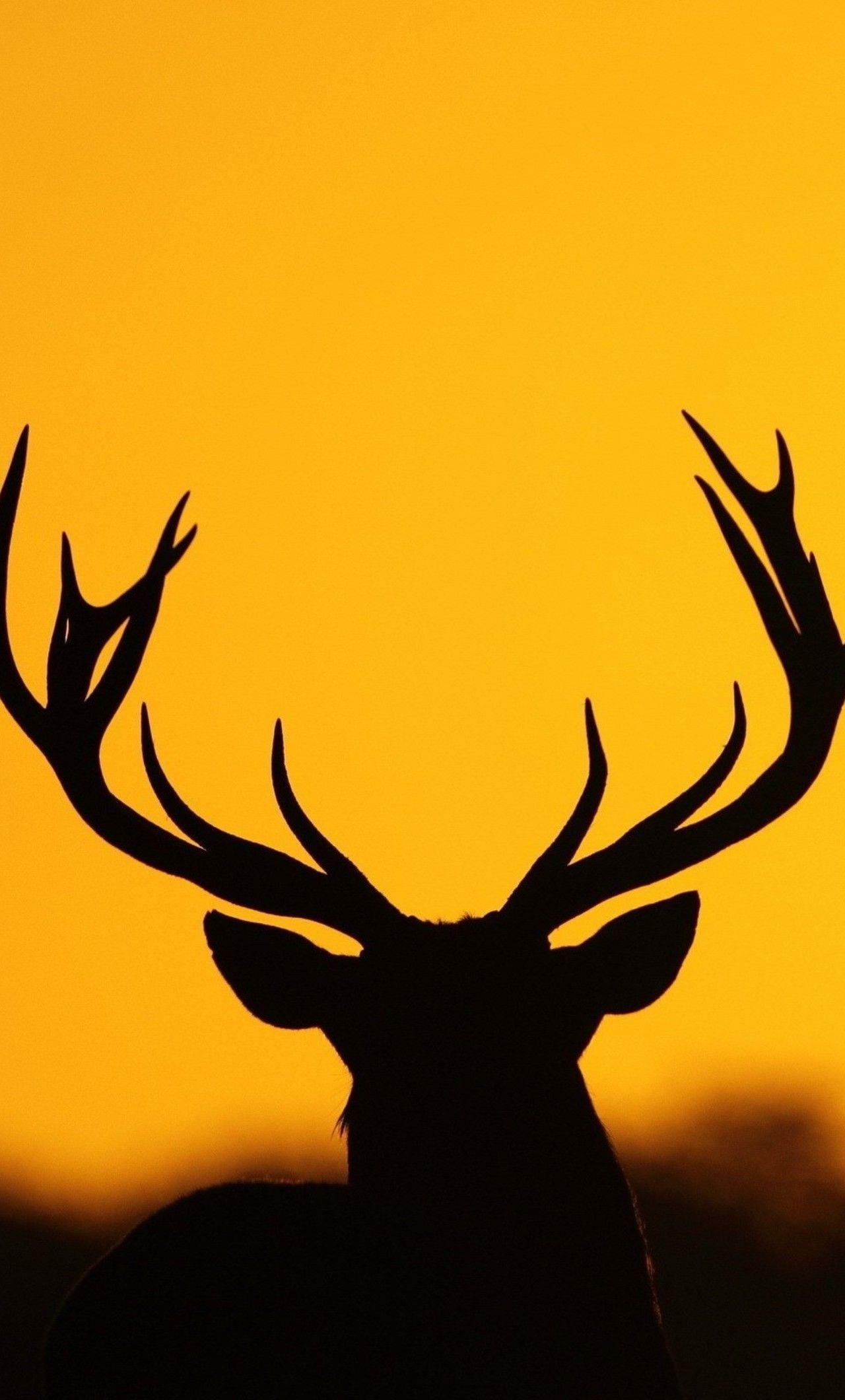 1280x2120 Deer Antler Silhouette iPhone HD 4k Wallpaper Antlers, HD