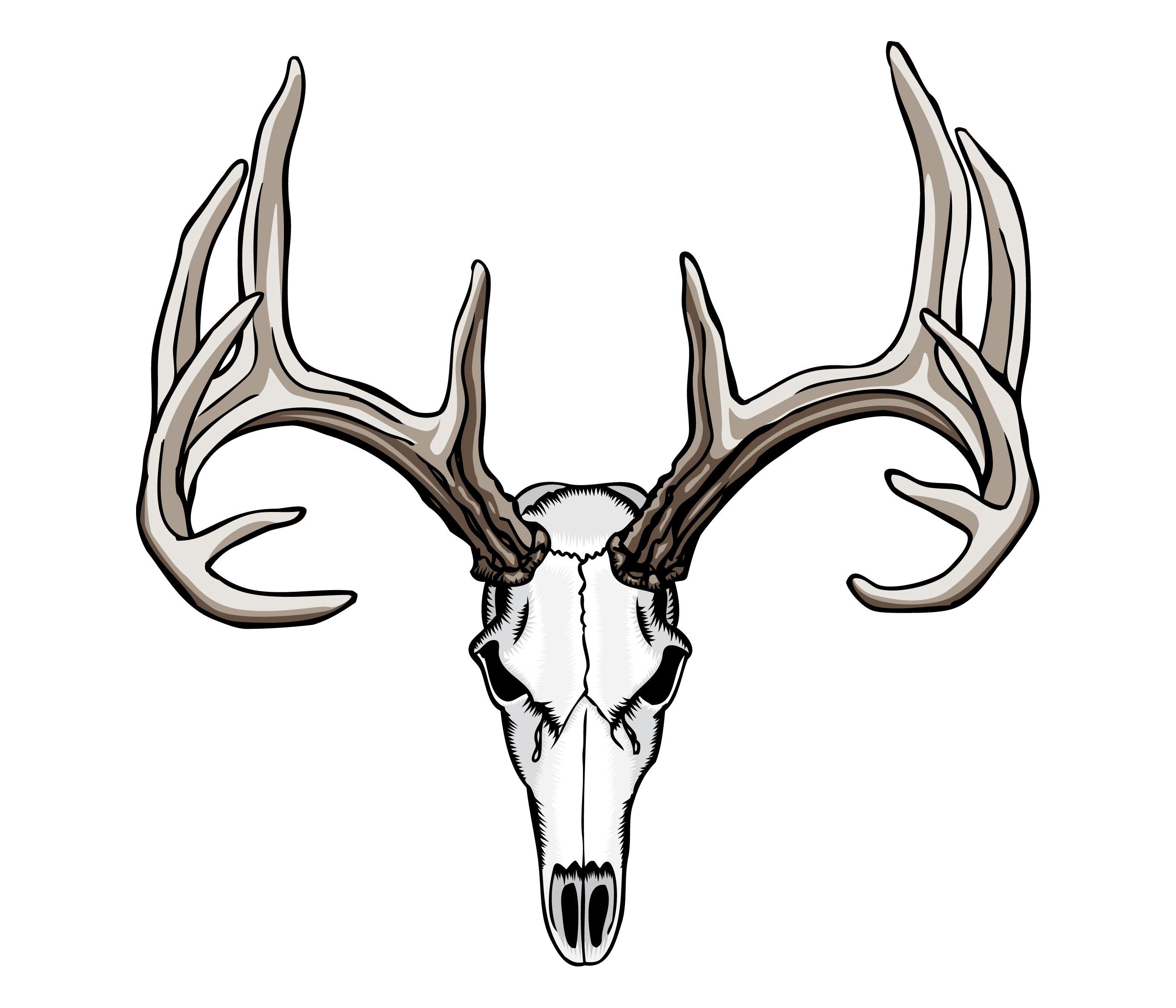 2800x2400 Whitetail Deer Skull Tattoos Art Nouveau Deer