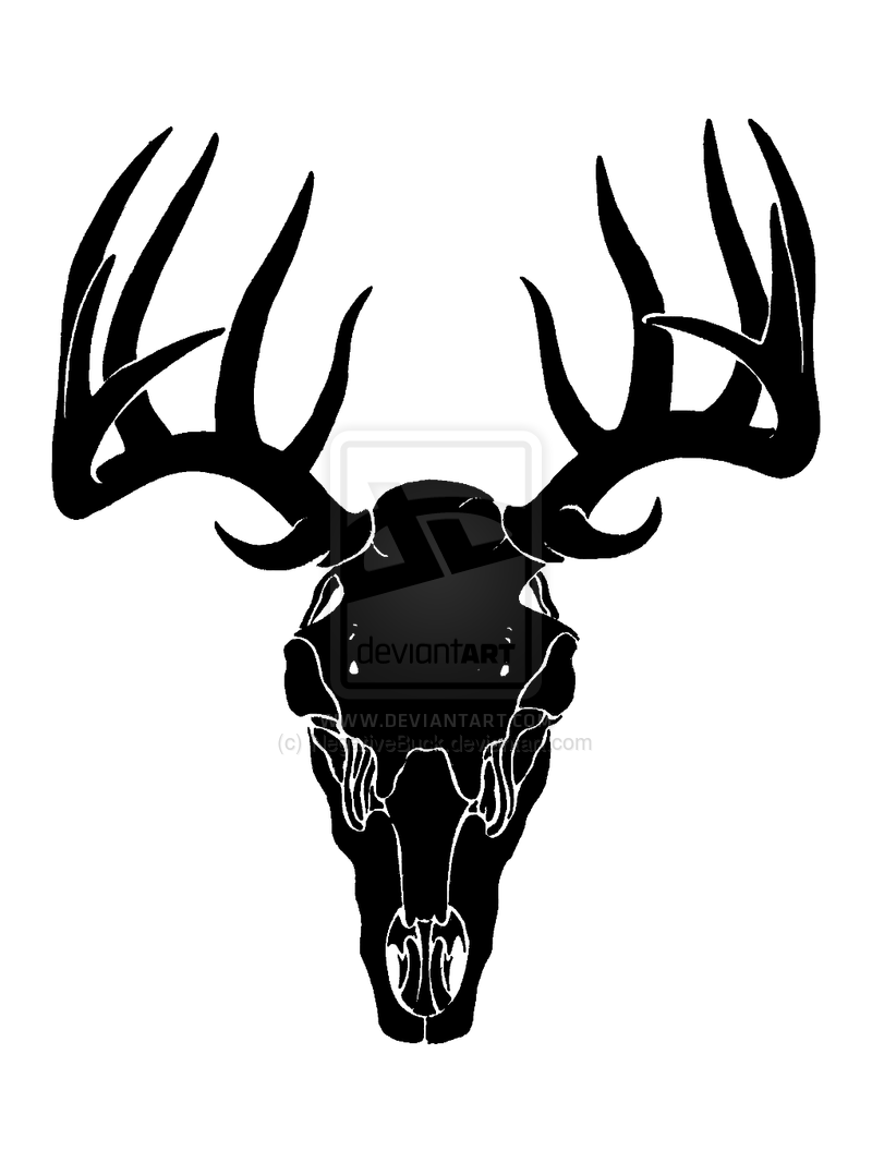 800x1067 Best Deer Skull Clip Art