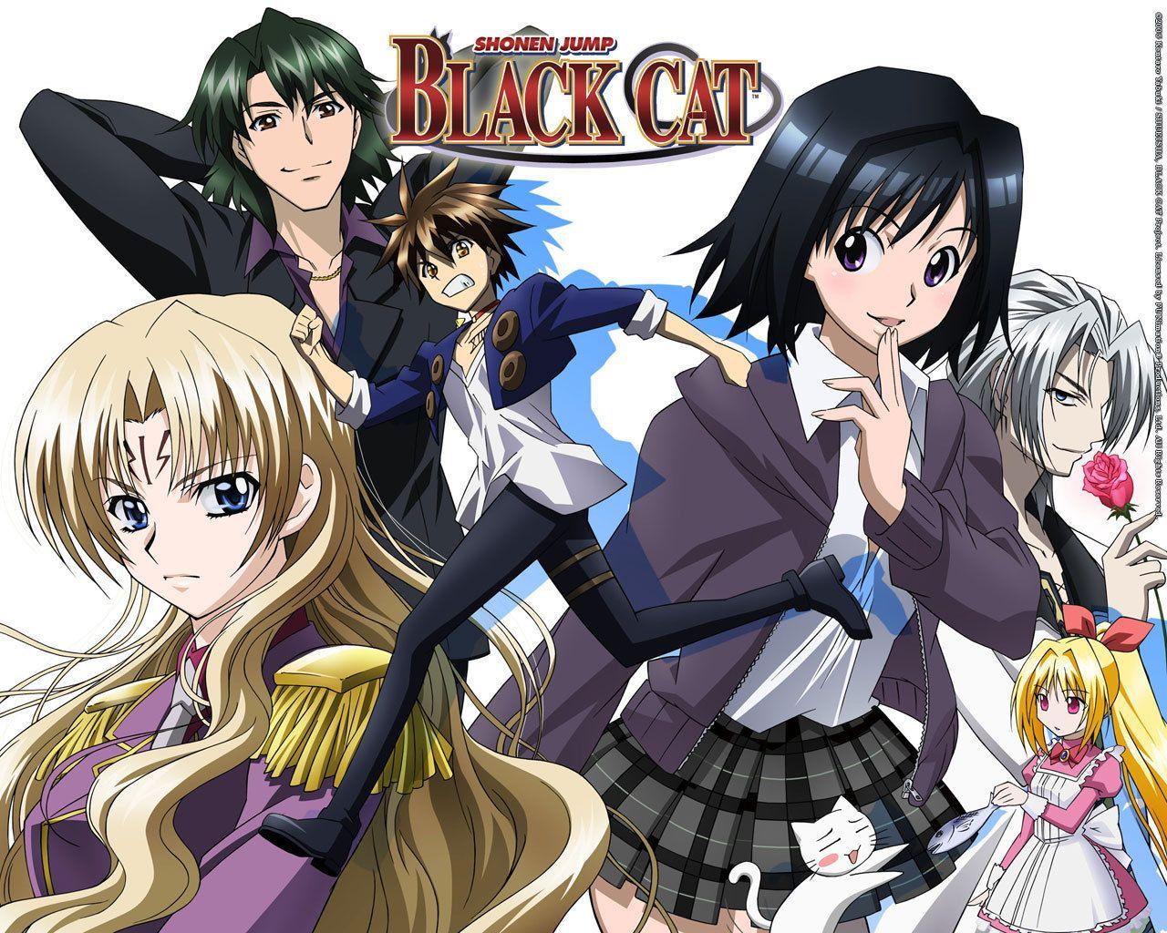 1280x1024 Free download Black Cat Black Cat Wallpaper 6400889 1280x1024