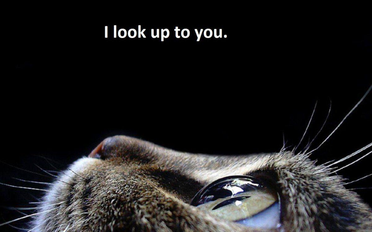 1200x750 Hero Wallpaper eyes Wallpaper