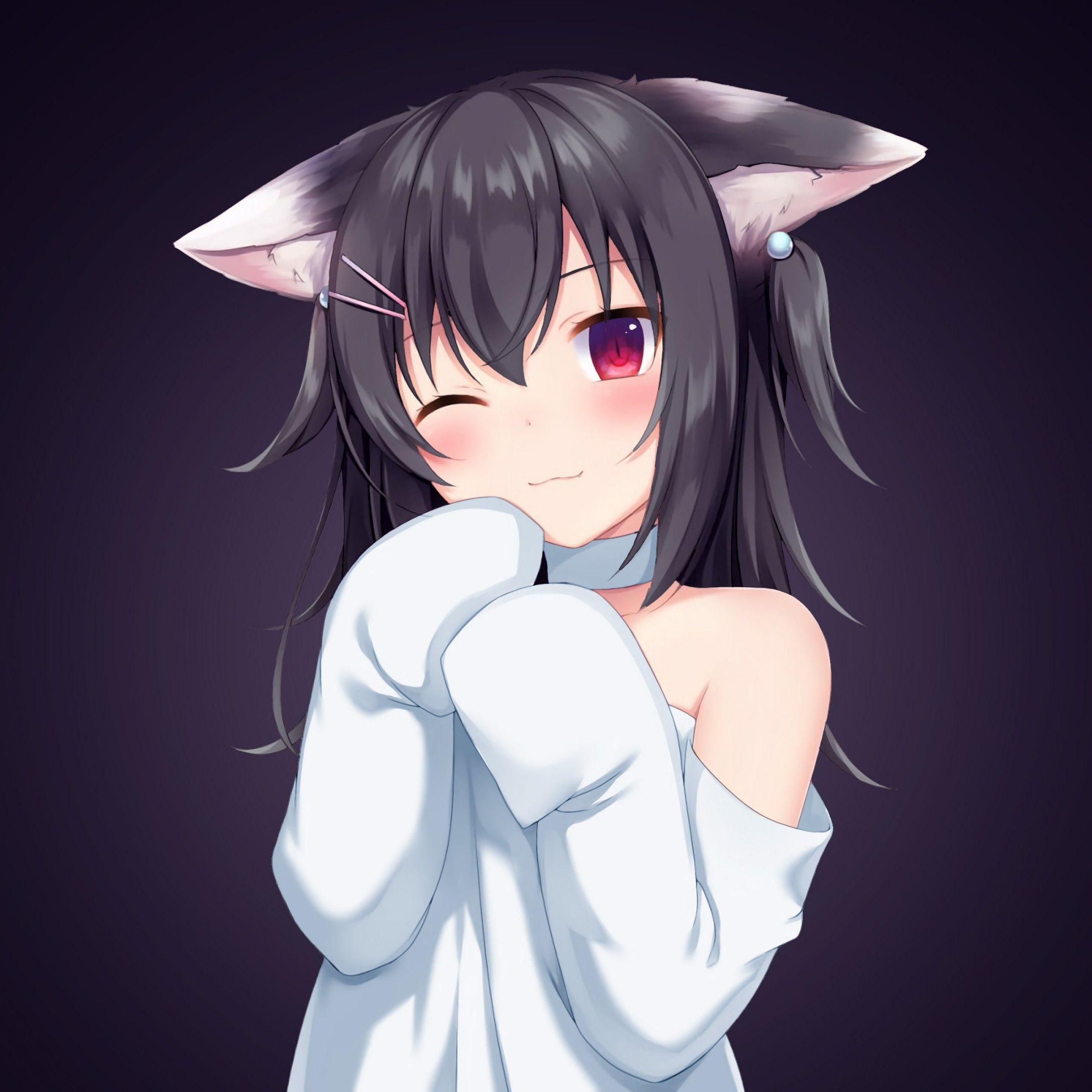 2560x2560 Wallpaper Black Cat, Anime girl, 4K, Anime